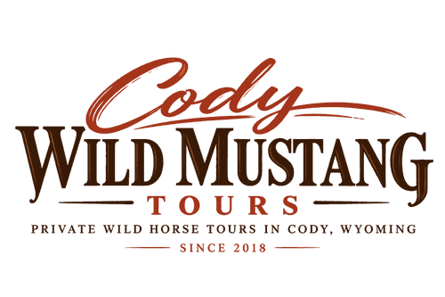 Cody Wild Mustang Tours - Best Private Wild Horse Tours in Cody Wyoming