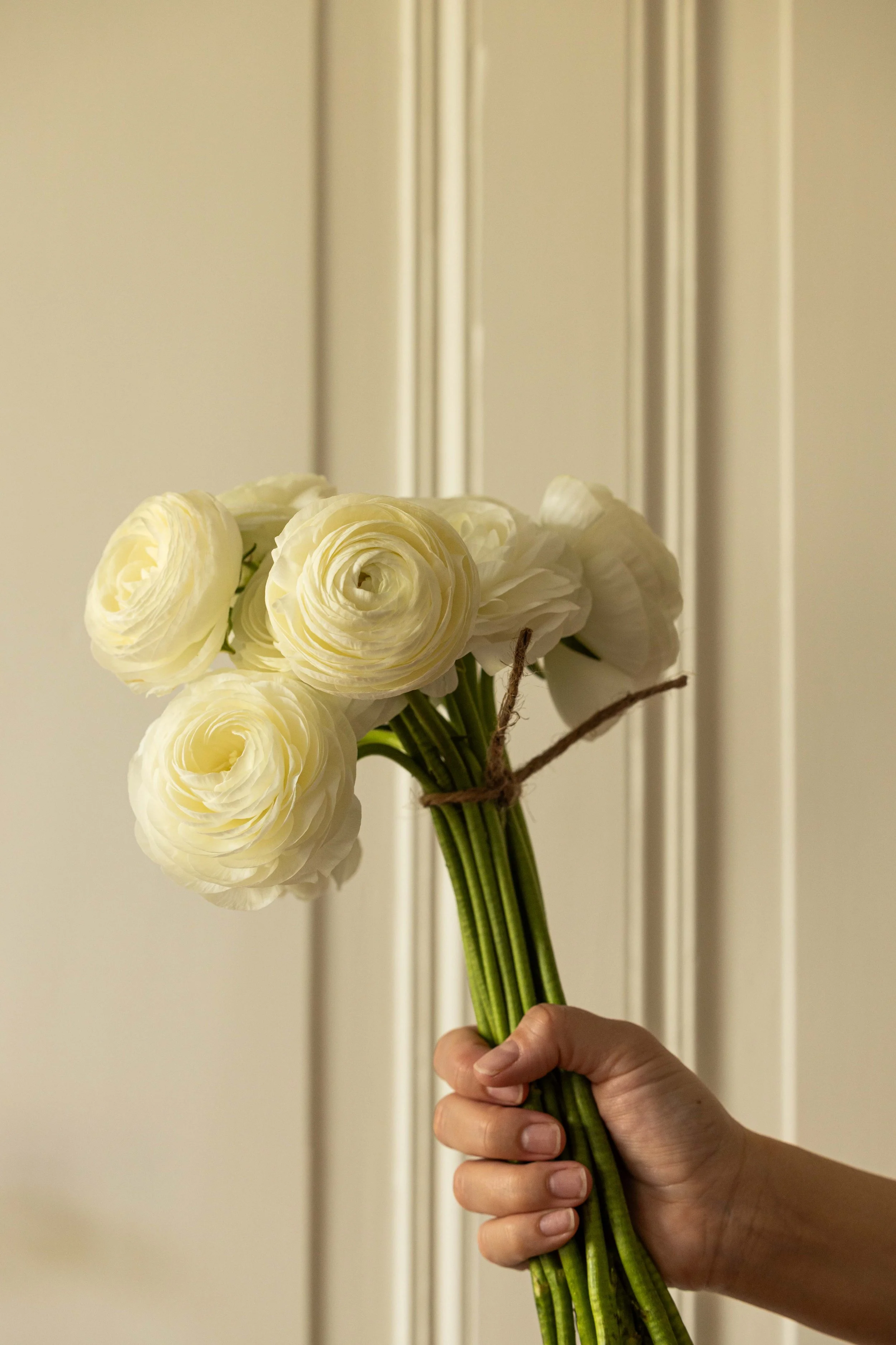 20250417_Black Tomato Studio_Spring 2025 Vol.1_A73A3646.jpg