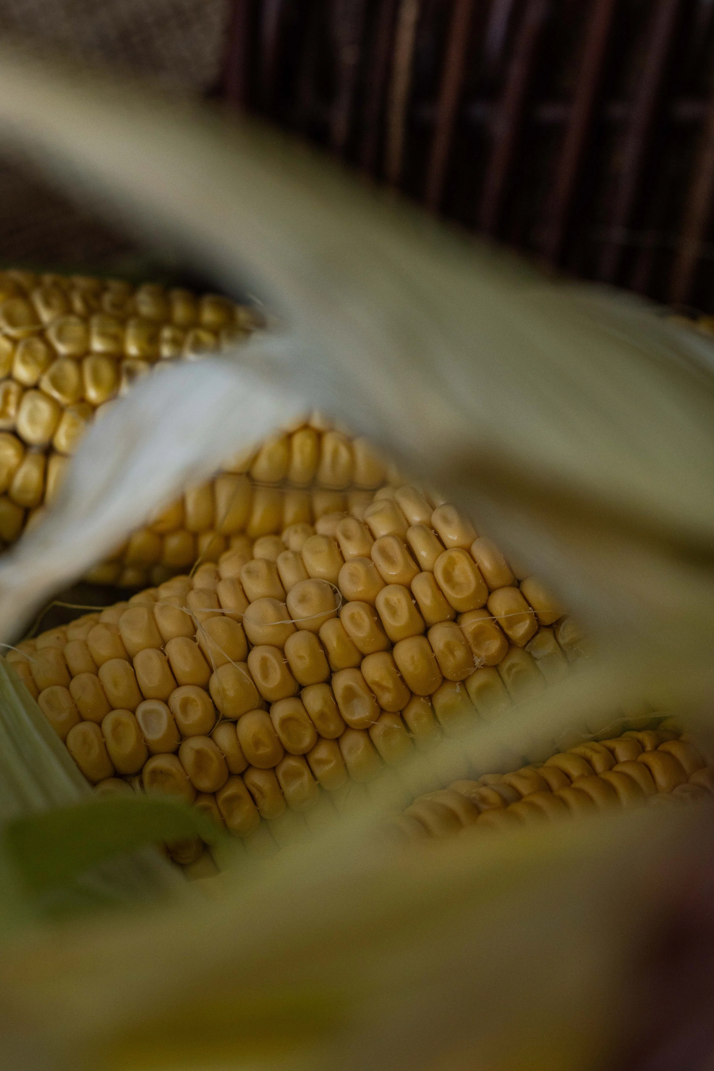 20250906_Black Tomato Studio_Autumn 2025_A73A4684.jpg