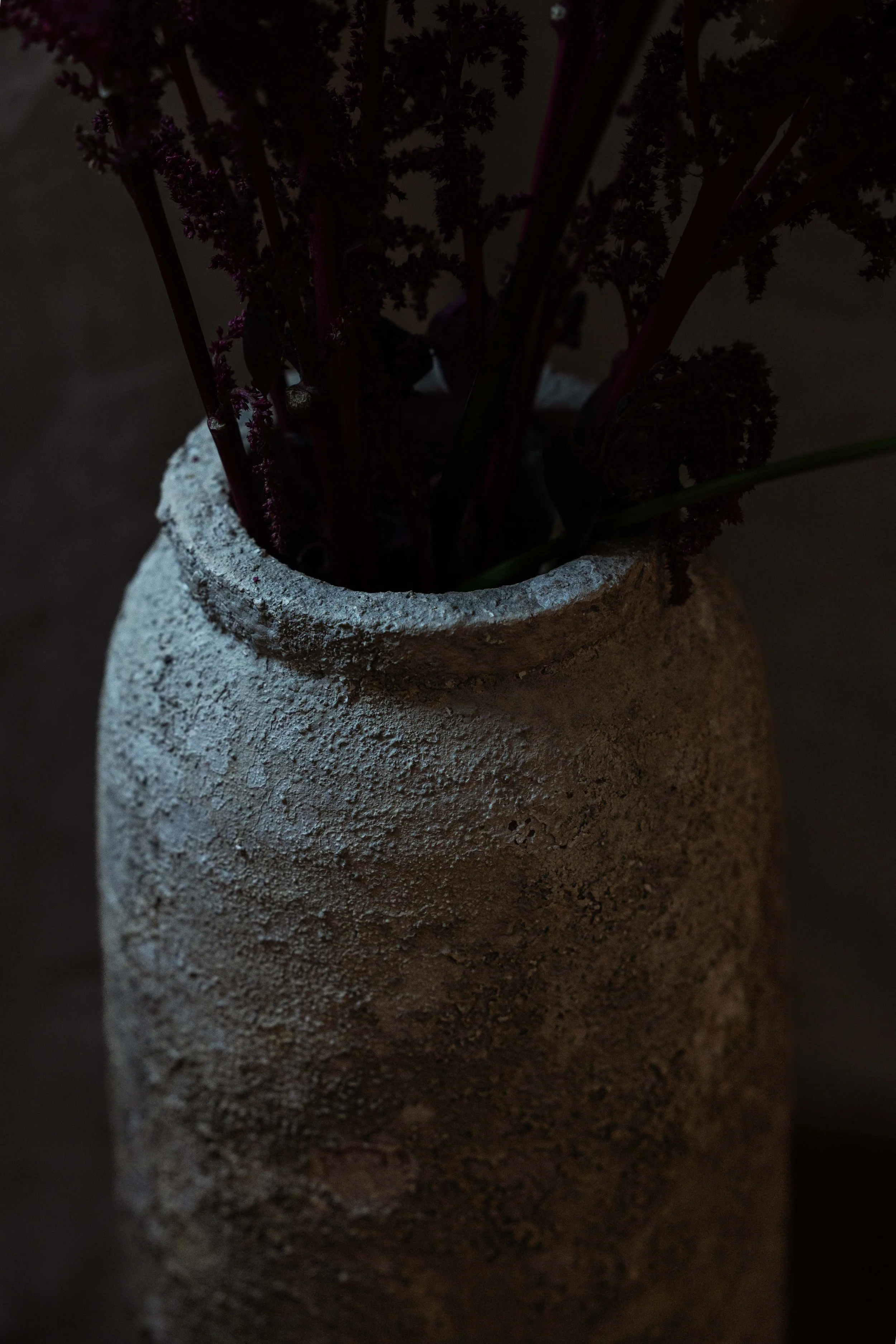 20250906_Black Tomato Studio_Autumn 2025_A73A4842.jpg