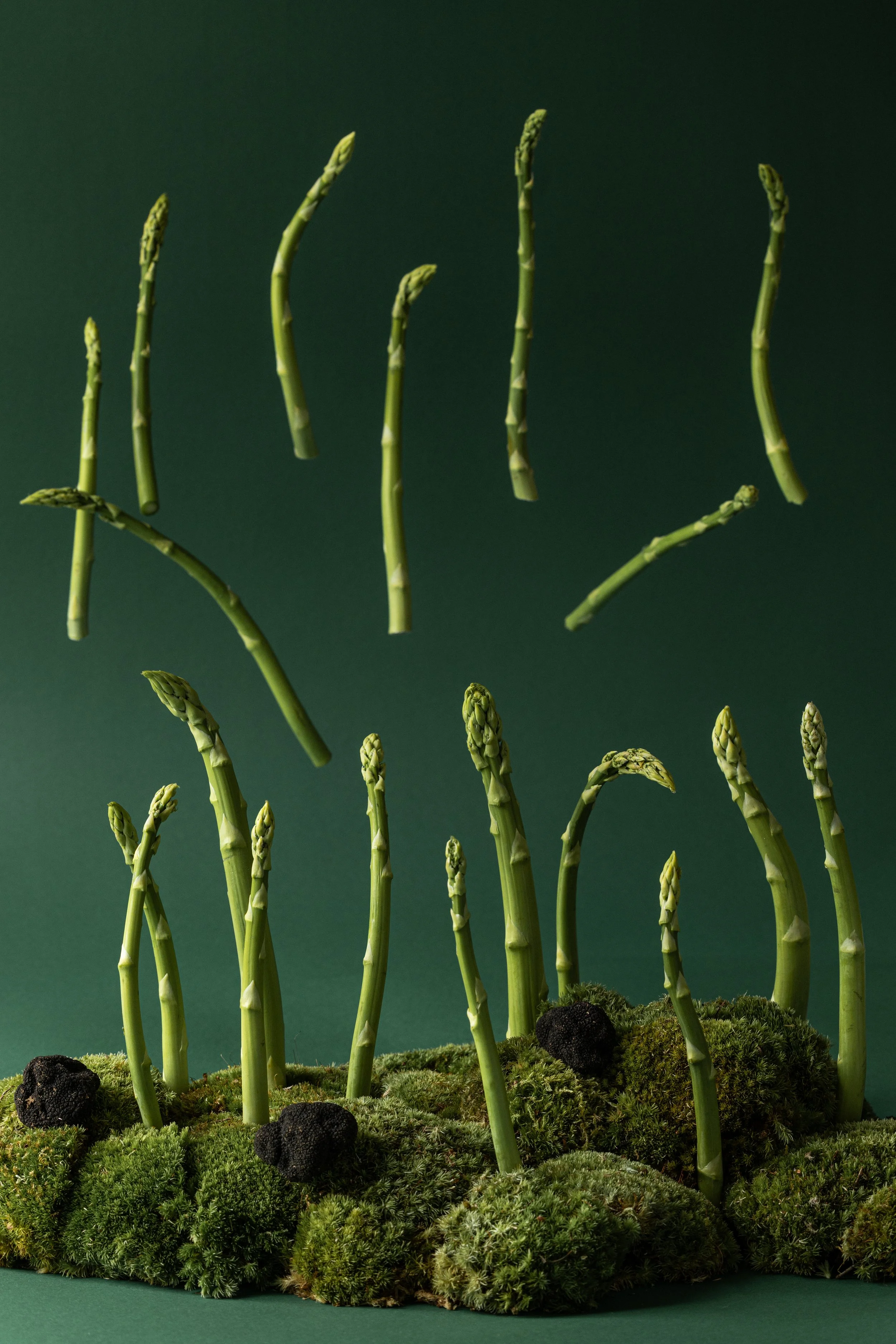 Asparagus Forest