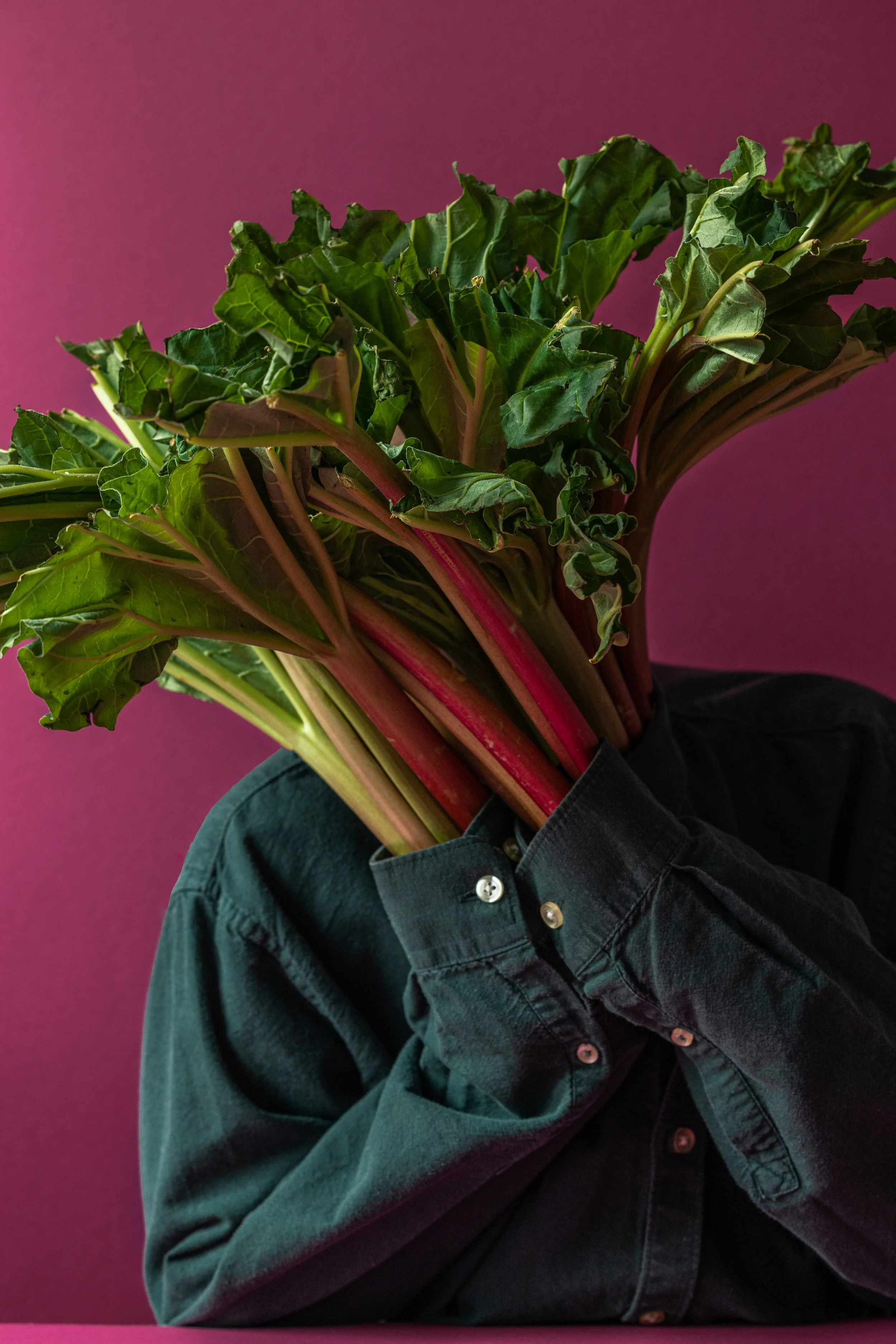 The Rhubarb