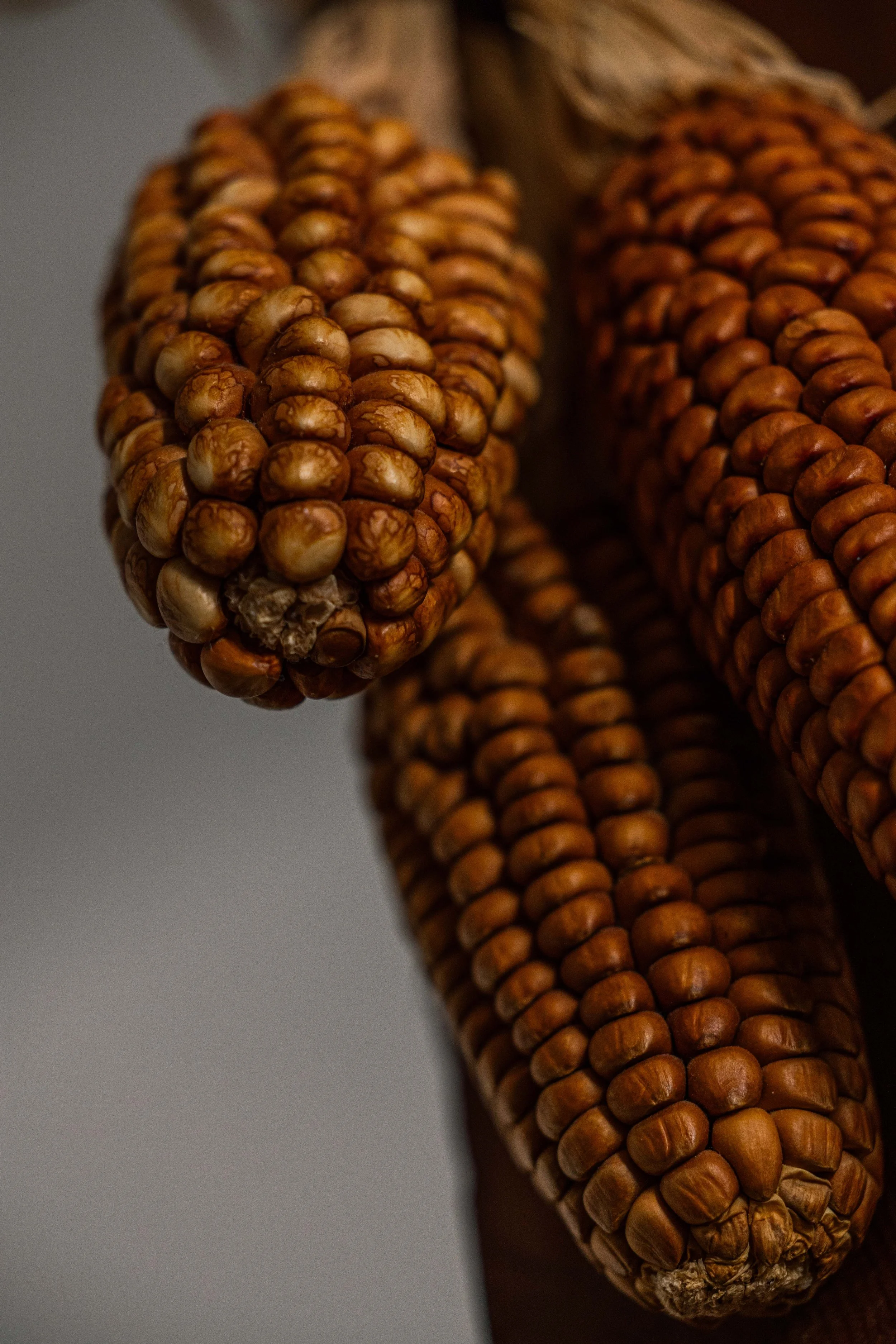 20250906_Black Tomato Studio_Autumn 2025_A73A4704.jpg