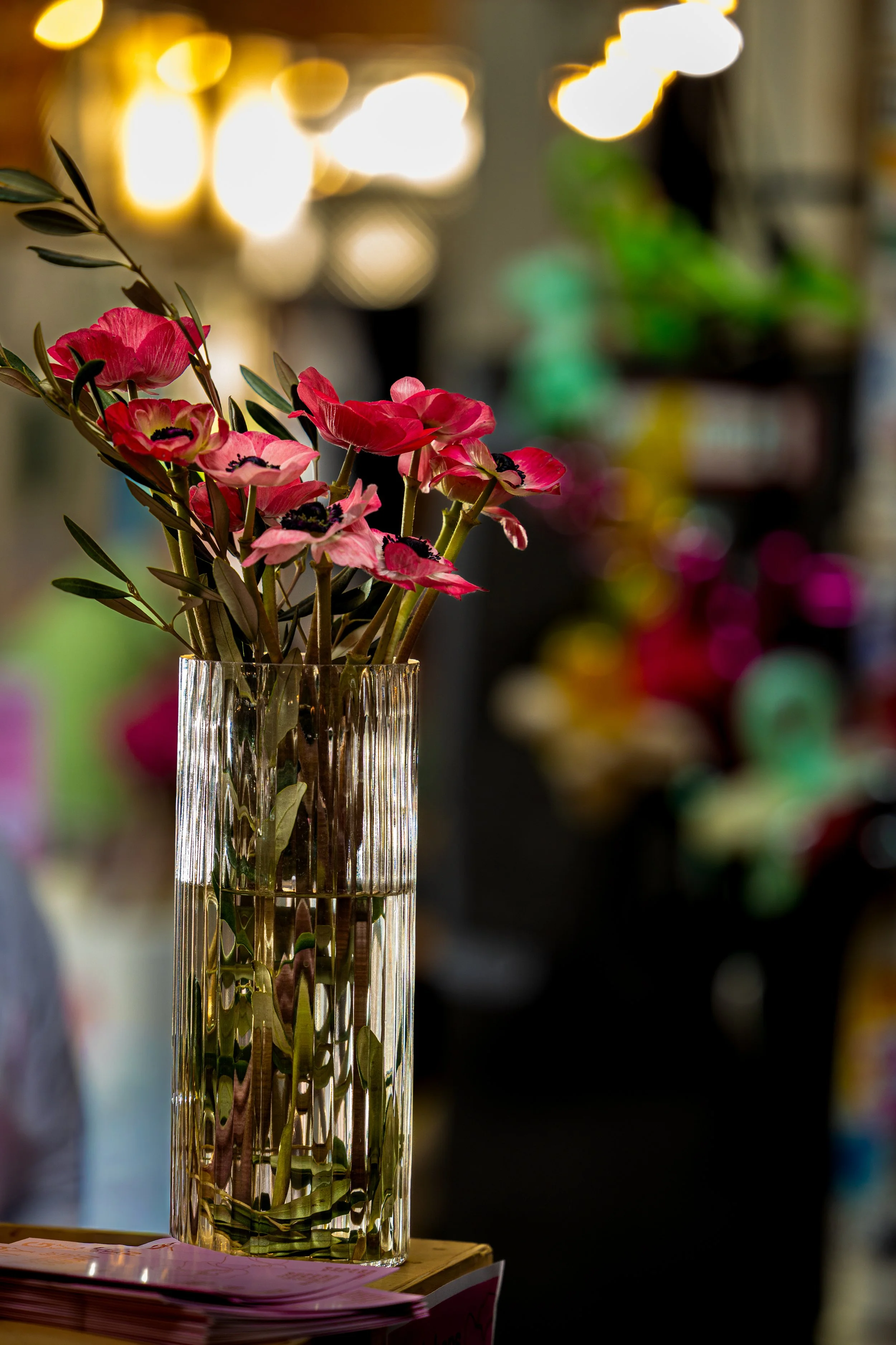 20260322_Yorgos Rosolymos_A taste of Solidarity_ΜΗ9_A73A5580.jpg