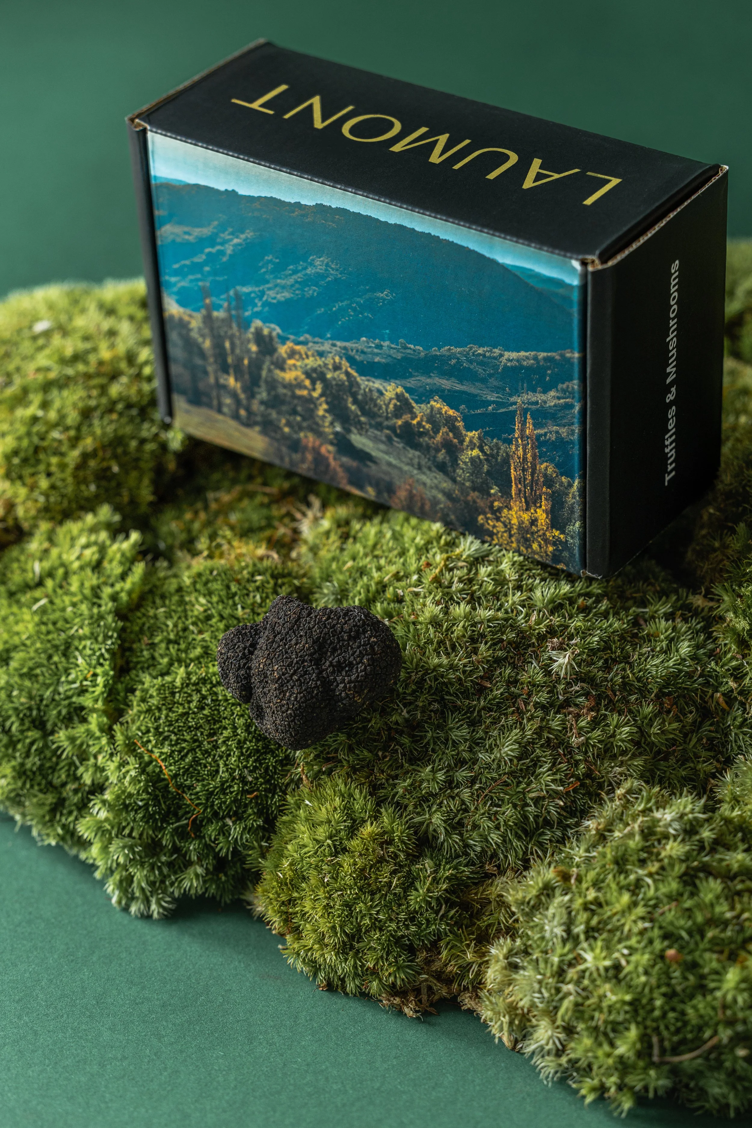 20250522_Black Tomato Studio_Spring 2025 Vol.2_A73A3848.jpg