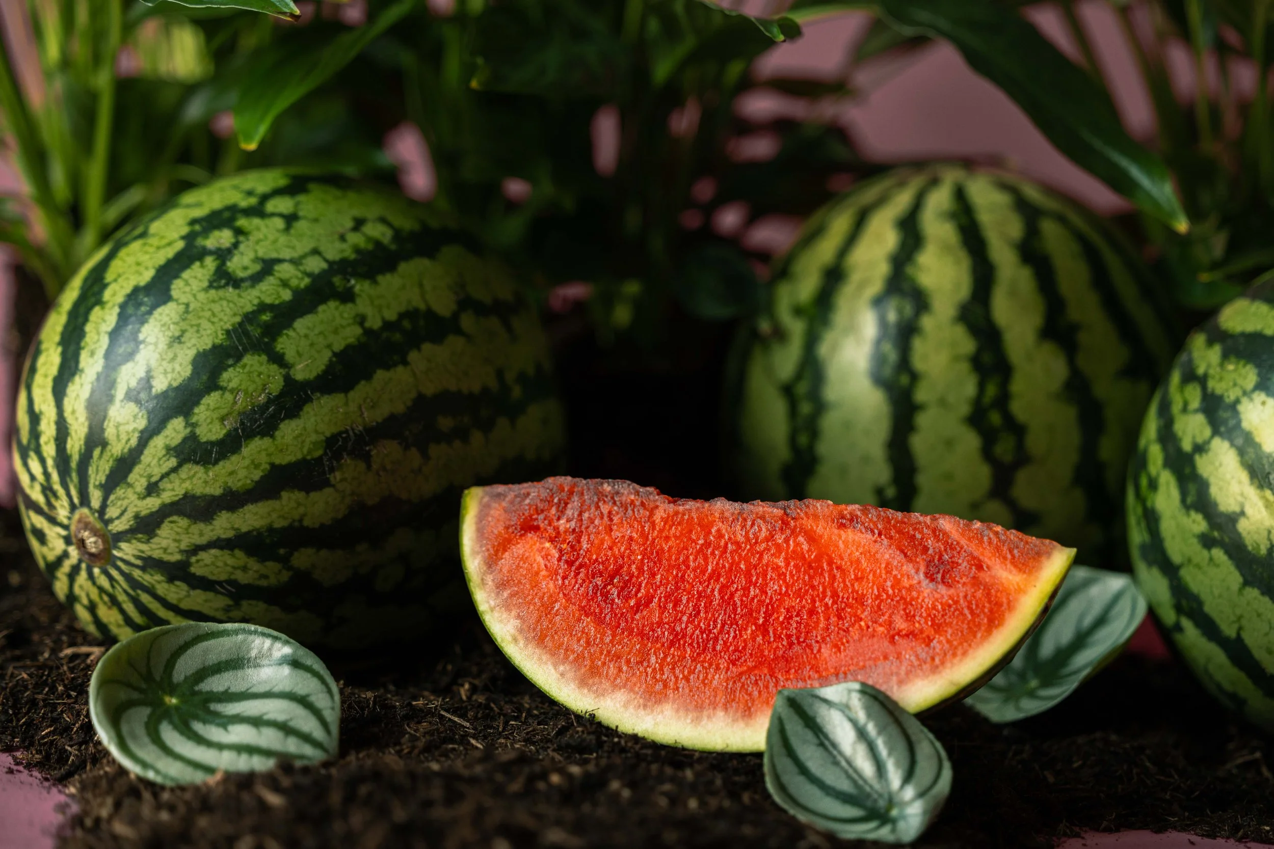 20250719_Black Tomato Studio_Summer 2025_A73A4454.jpg