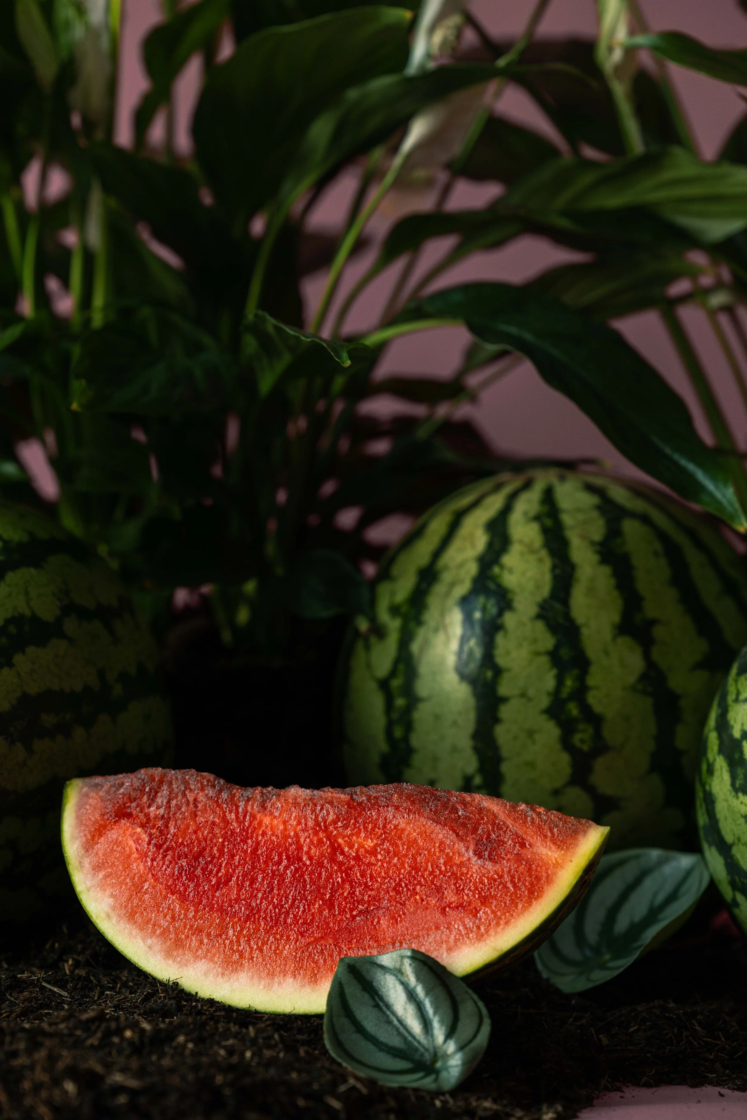 20250719_Black Tomato Studio_Summer 2025_A73A4434.jpg