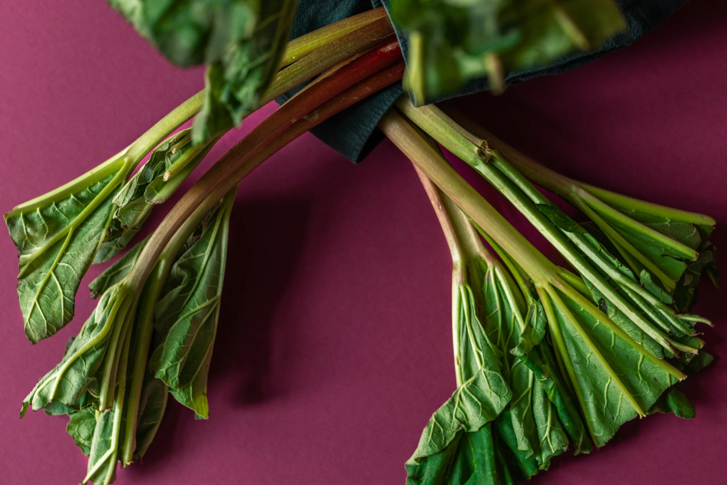 20250522_Black Tomato Studio_Spring 2025 Vol.2_A73A3936.jpg