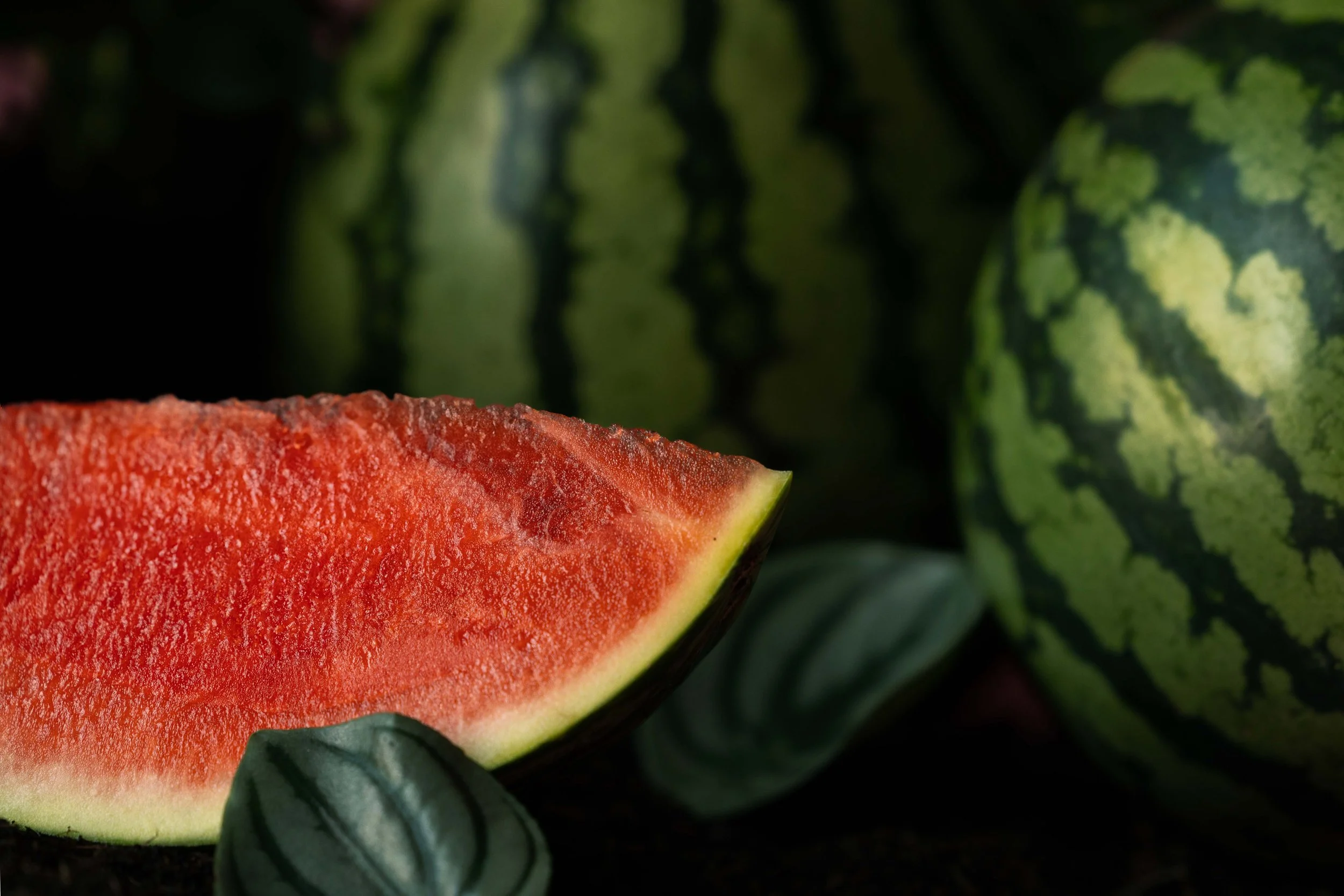 20250719_Black Tomato Studio_Summer 2025_A73A4459.jpg