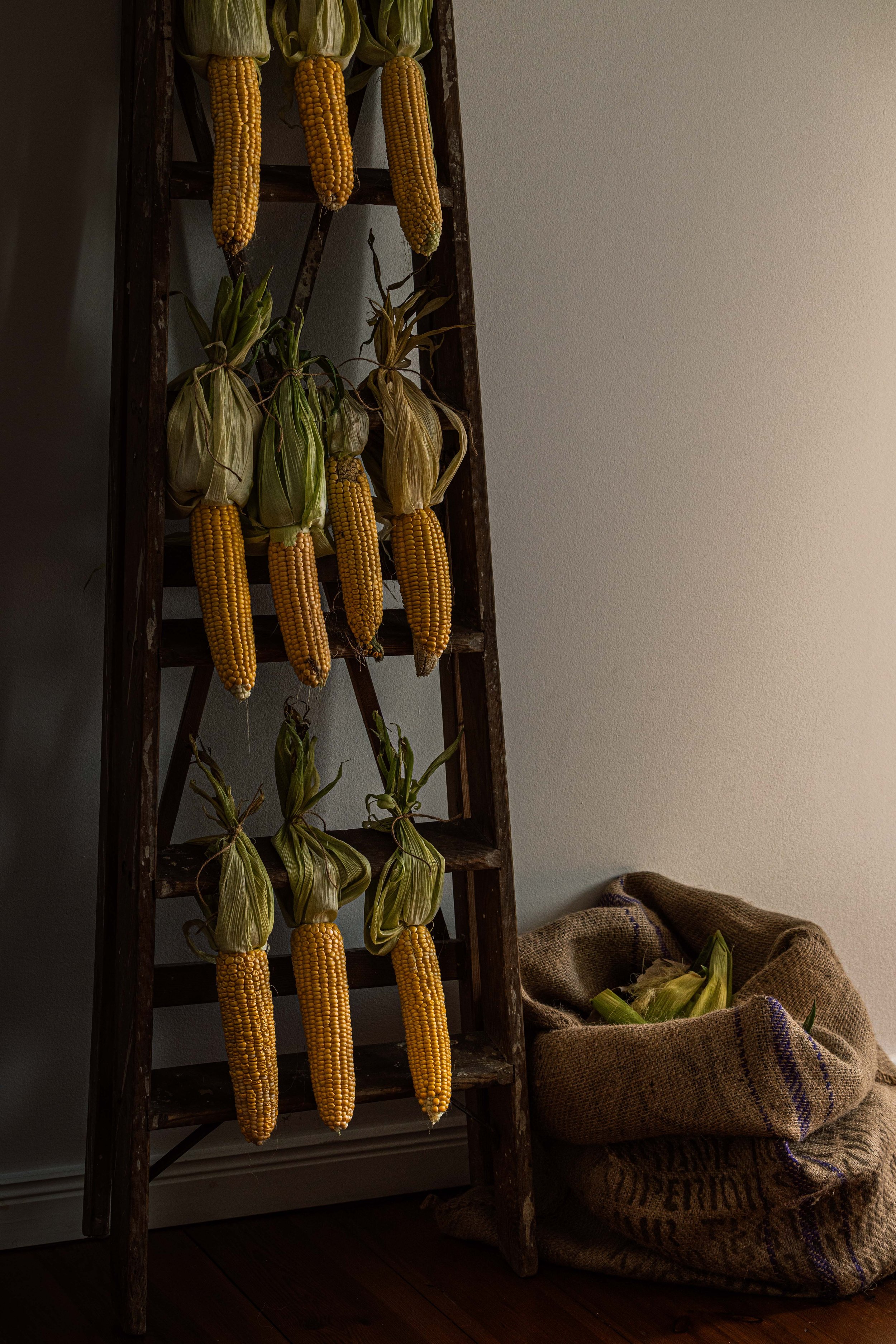 20250906_Black Tomato Studio_Autumn 2025_A73A4749.jpg