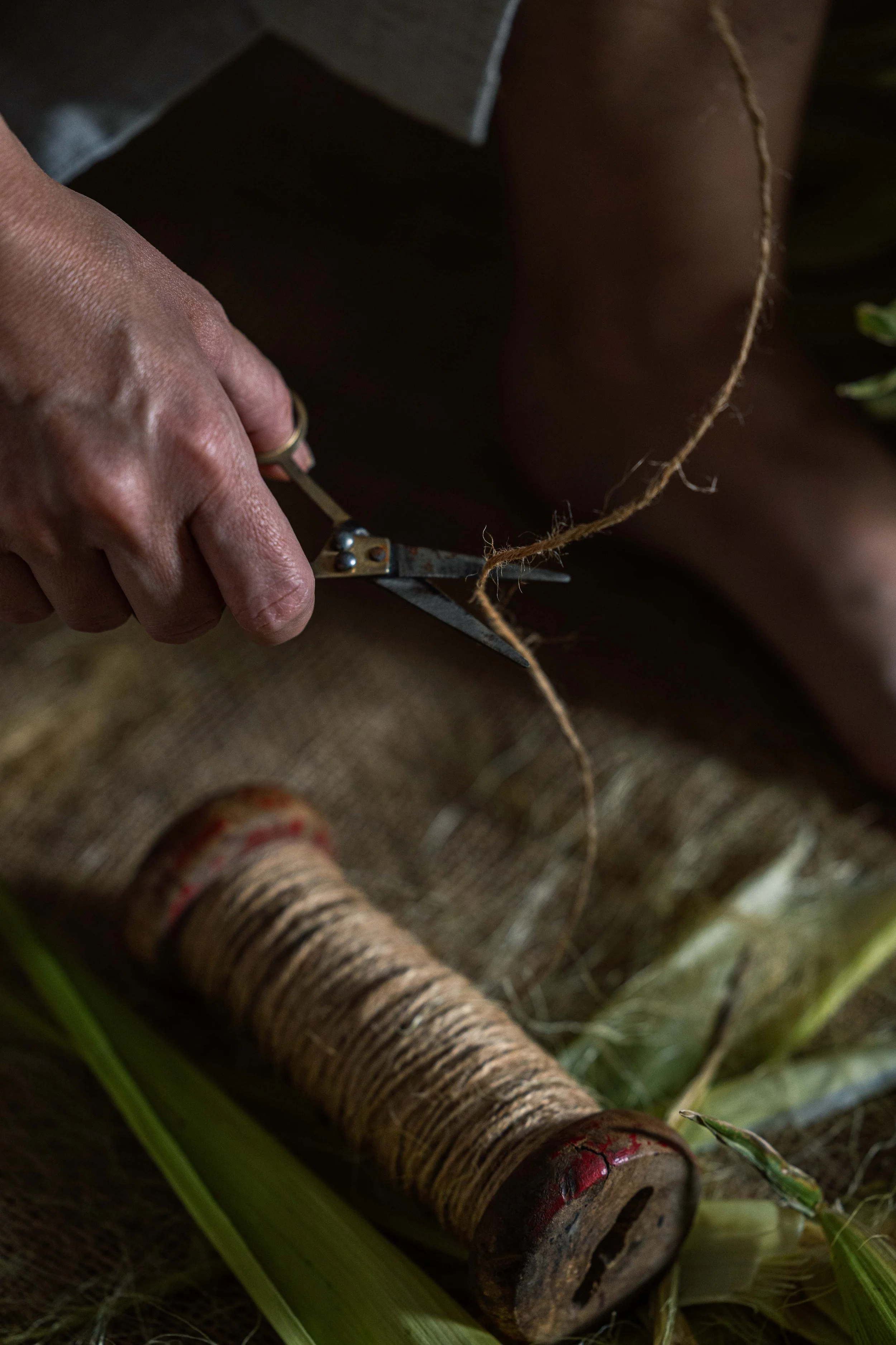 20250906_Black Tomato Studio_Autumn 2025_A73A4658.jpg