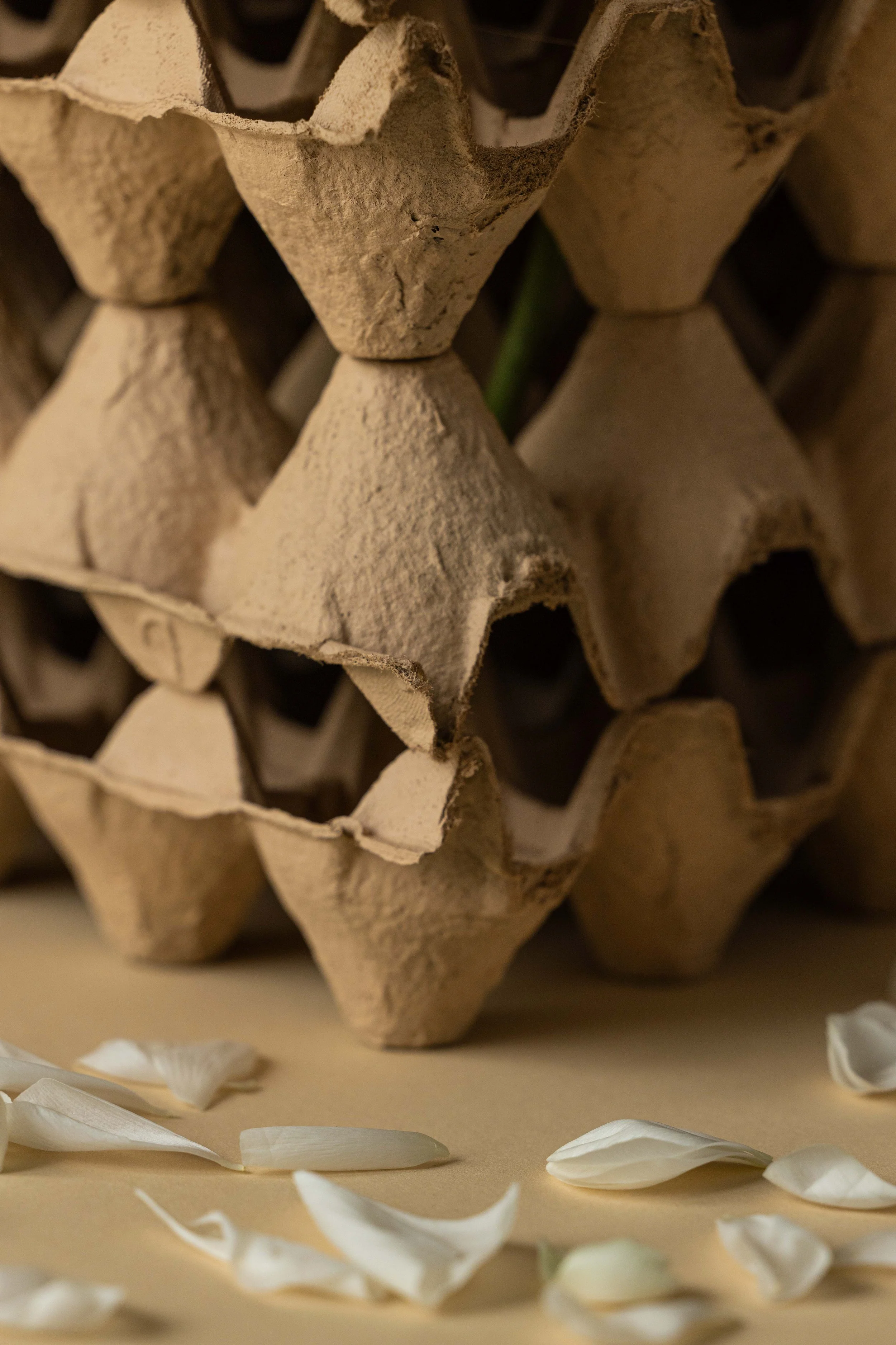 20250418_Black Tomato Studio_Spring 2025 Vol.1_A73A3696.jpg