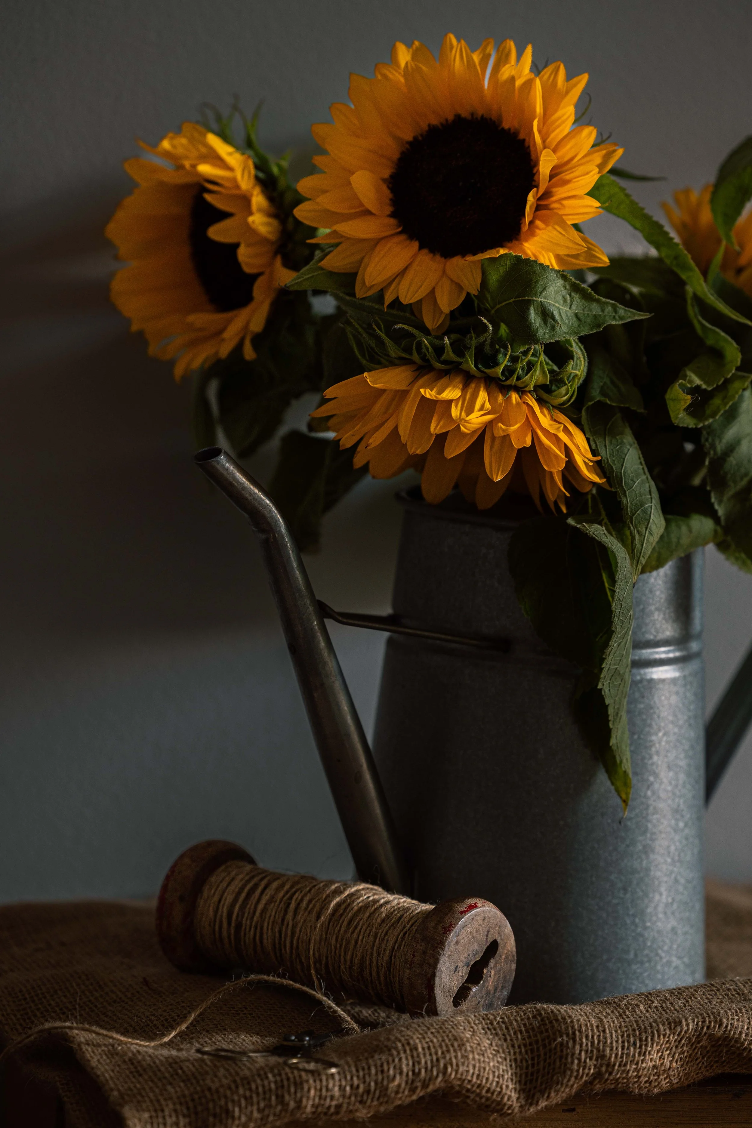 20250906_Black Tomato Studio_Autumn 2025_A73A4630.jpg