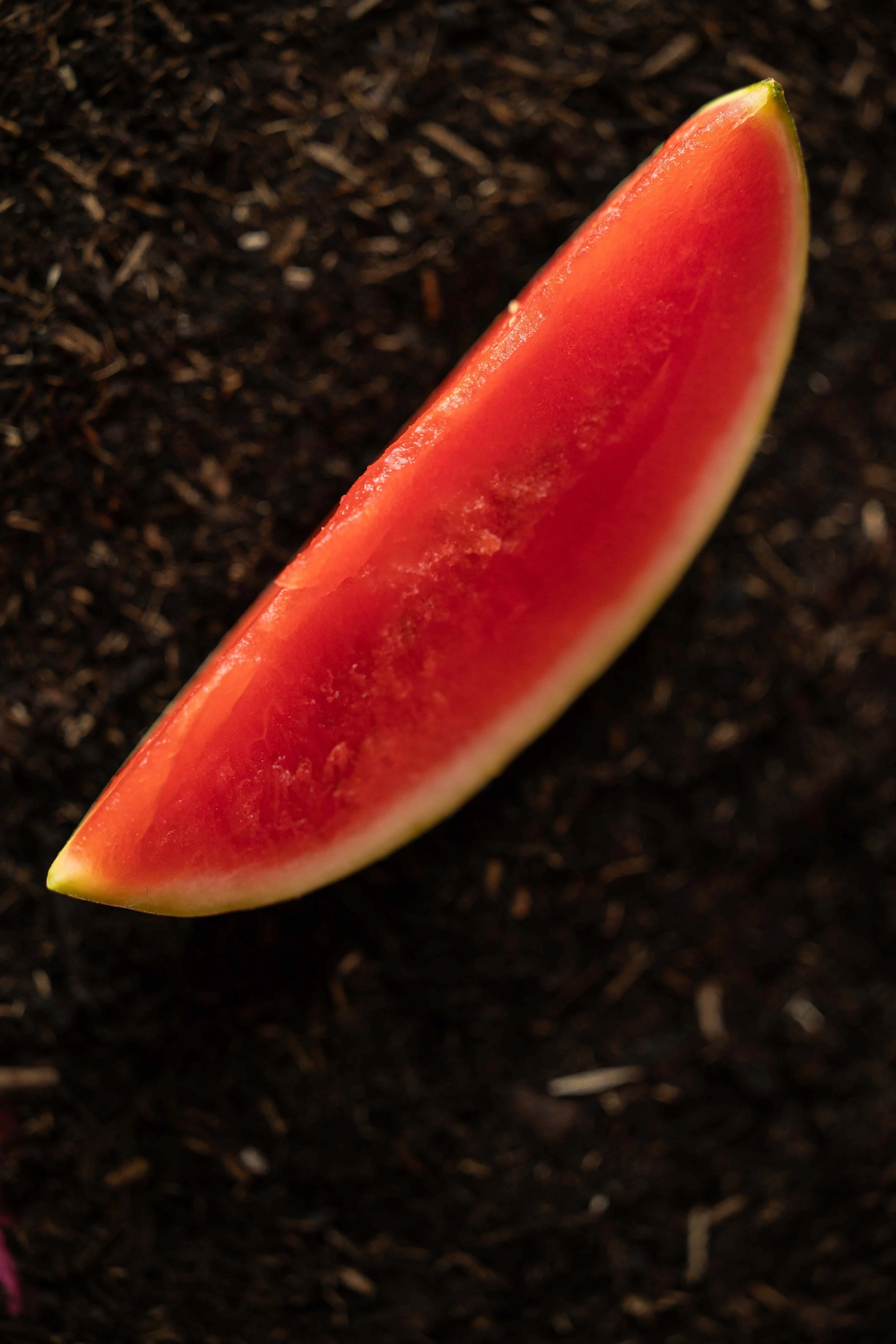 20250719_Black Tomato Studio_Summer 2025_A73A4395.jpg