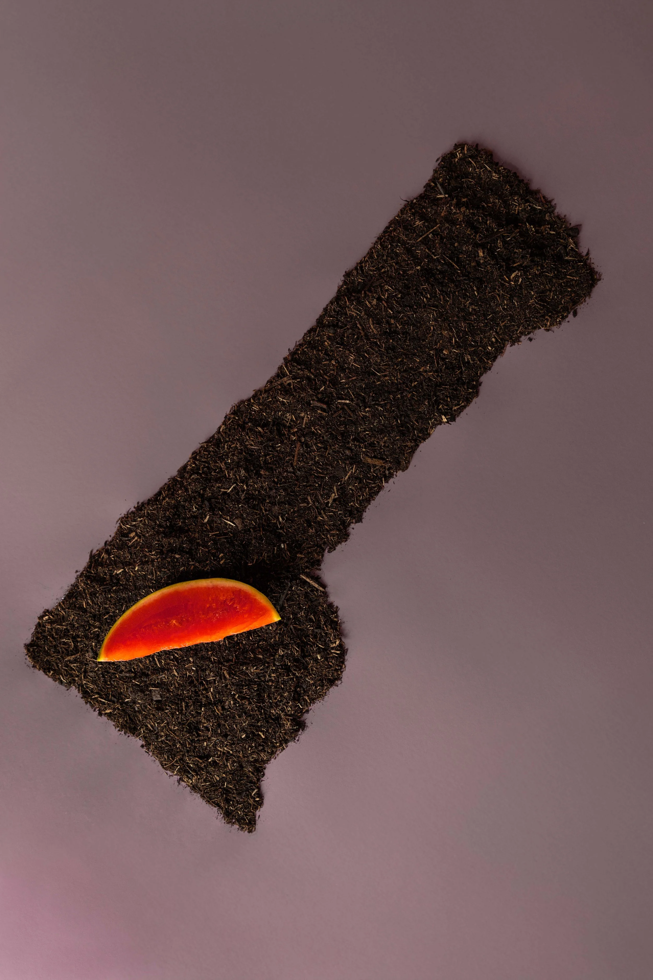 20250719_Black Tomato Studio_Summer 2025_A73A4383.jpg