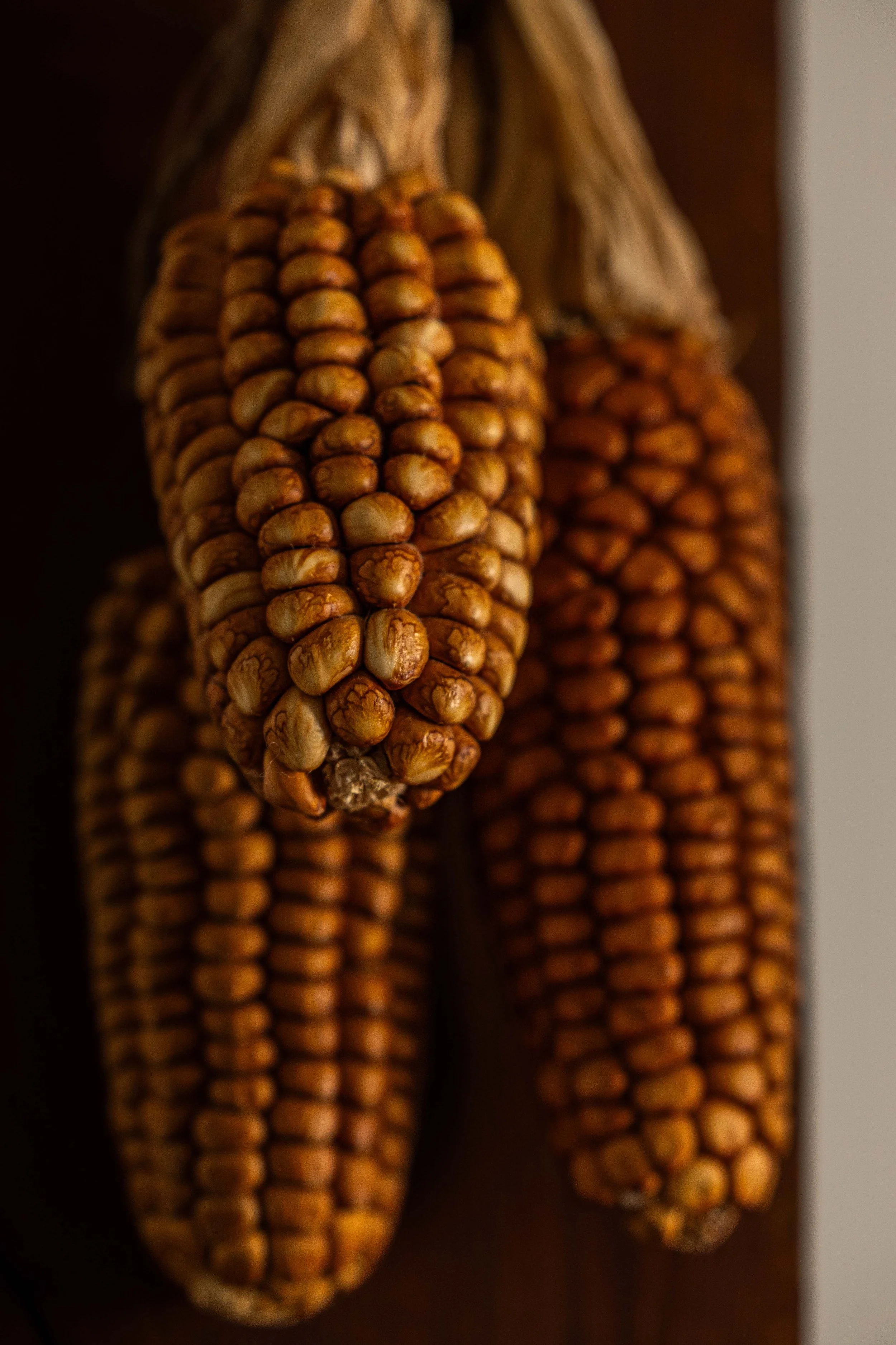 20250906_Black Tomato Studio_Autumn 2025_A73A4692.jpg