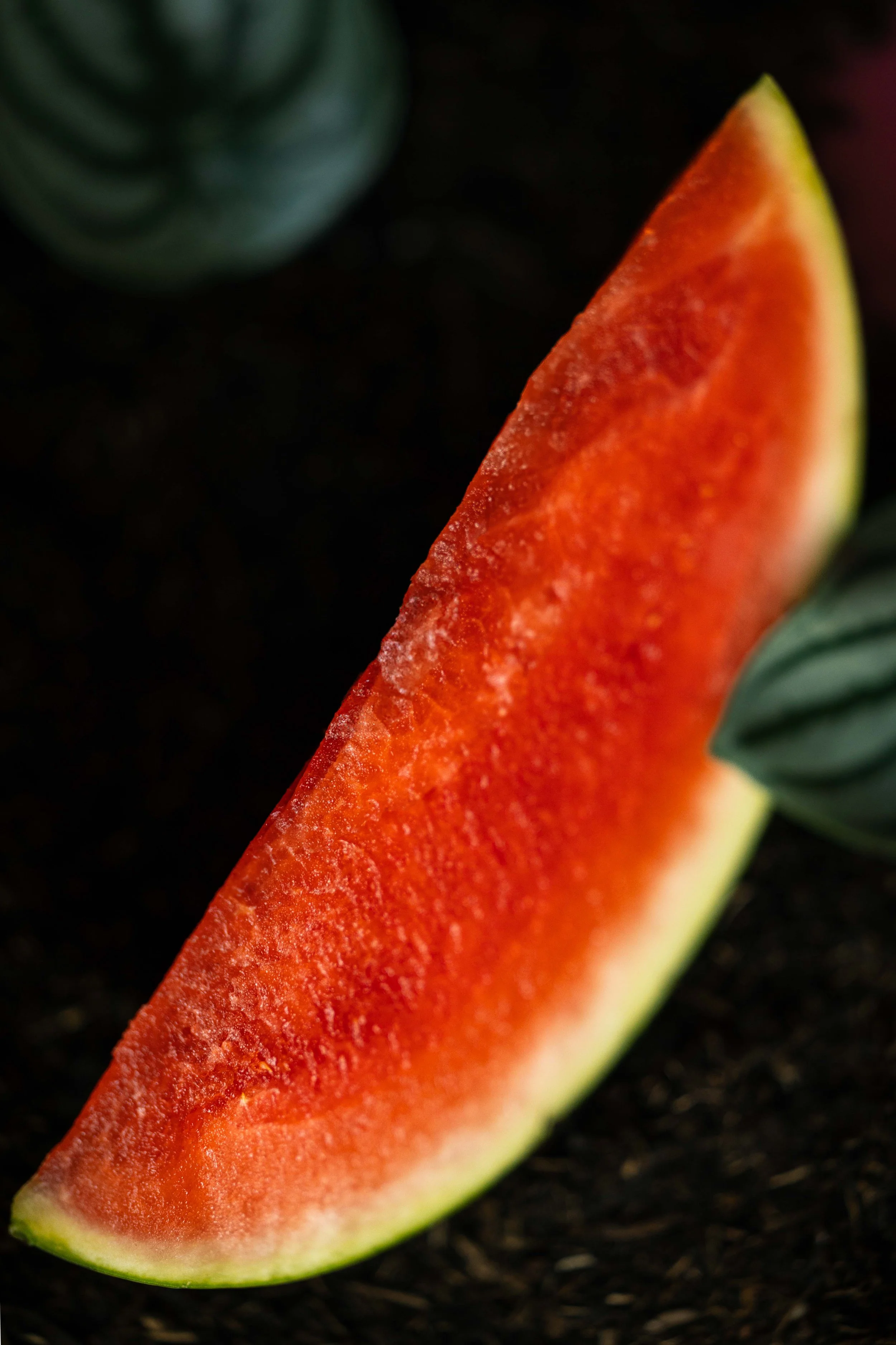 20250719_Black Tomato Studio_Summer 2025_A73A4452.jpg