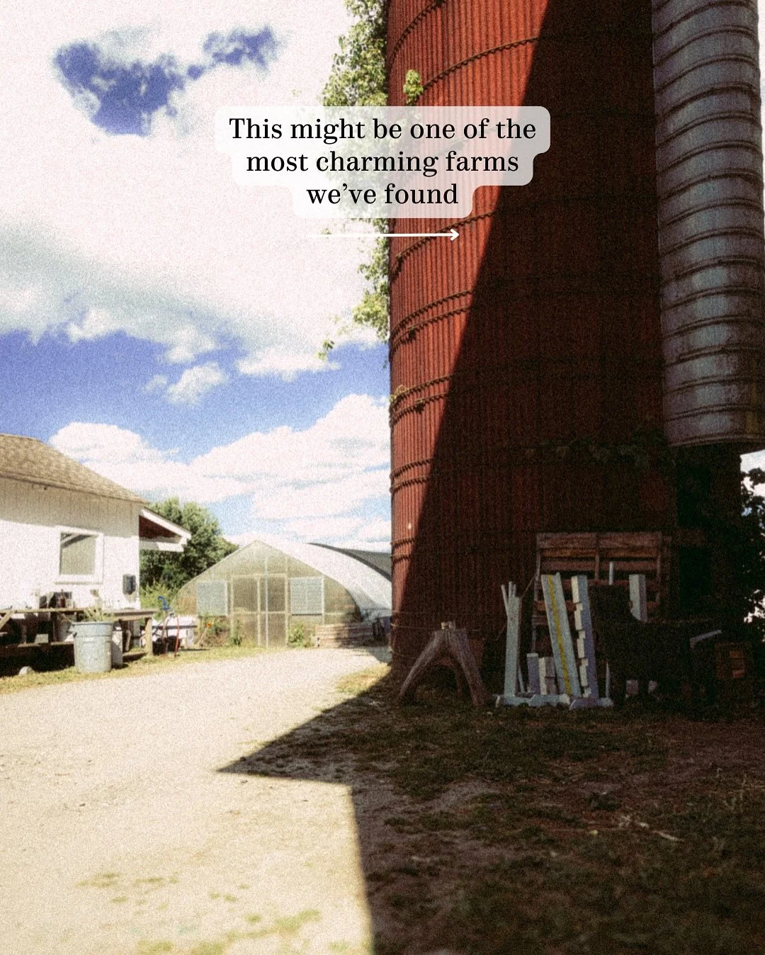 We stumbled upon this farm just last week, and honestly, we can&rsquo;t stop thinking about it. 

The barn and farm stand immediately caught our eye, with flowers lining the parking lot and setting the tone before we even walked in. 

Inside, baskets