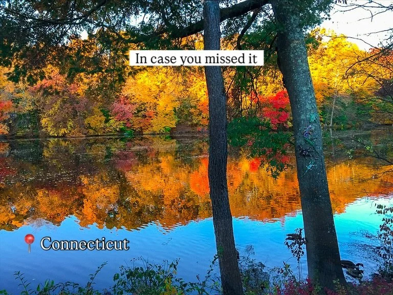 In case you missed this year&rsquo;s fall foliage, here are some photos from our roadtrips across Connecticut and New York. 🍂

We never grow tired of seeing the fiery reds, bright greens, and vibrant yellows each fall. The Northeast is a wonderful p