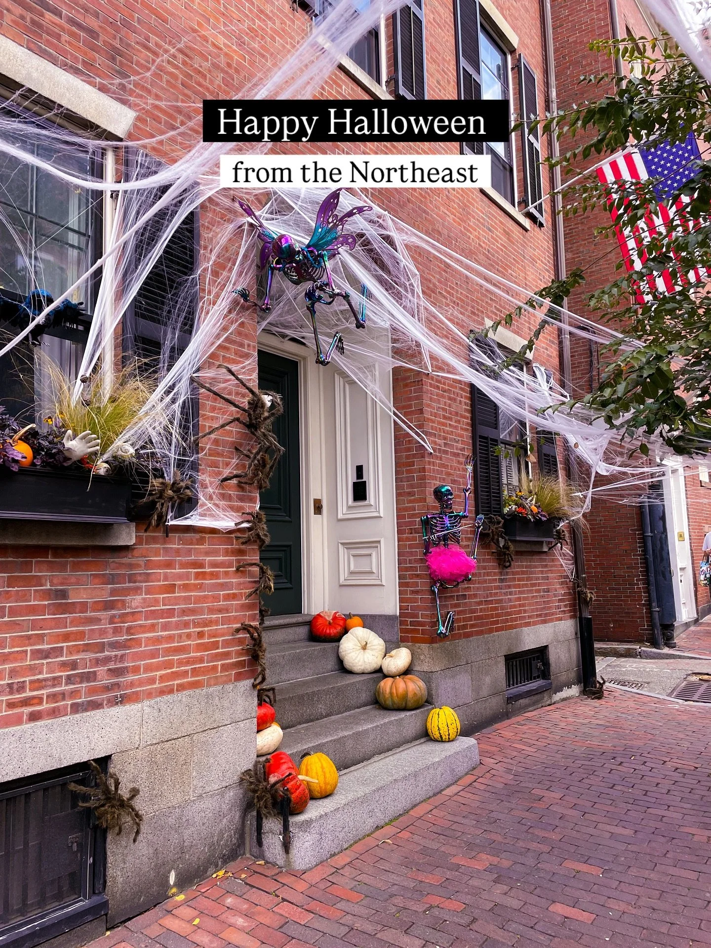 Halloween trick or treat from one of our favorite cities in the Northeast &mdash; Boston, Ma. 🎃👻🍫

Wherever you&rsquo;re traveling this Halloween, enjoy the holiday!