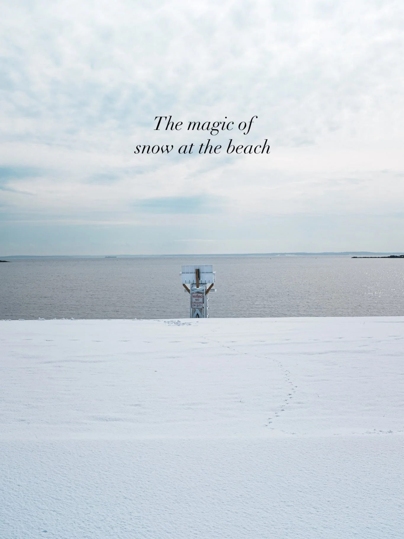 The pristine snow makes the beach look so beautiful during the winter. 

Have you been to the beach during winter?

#snow #snowstorm #beach #snowatthebeach
