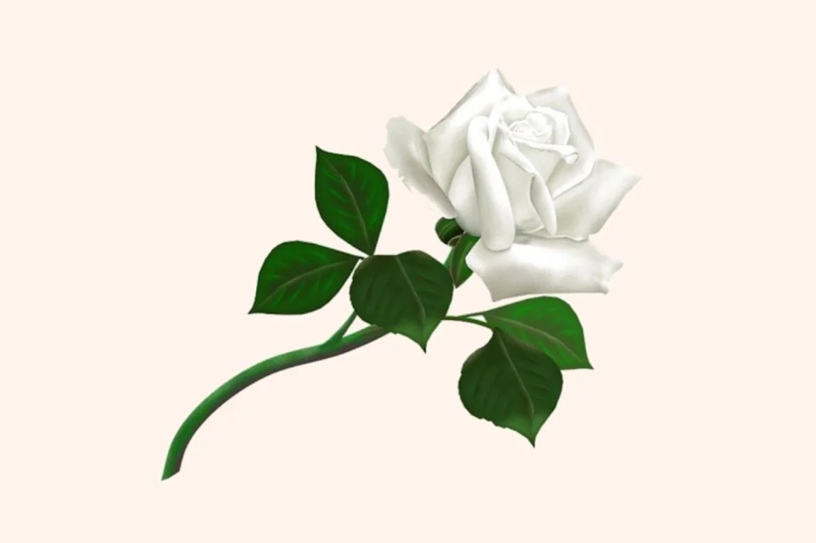 WhatsApp Image 2024-11-24 at 05.27.33_80faffc0.jpg