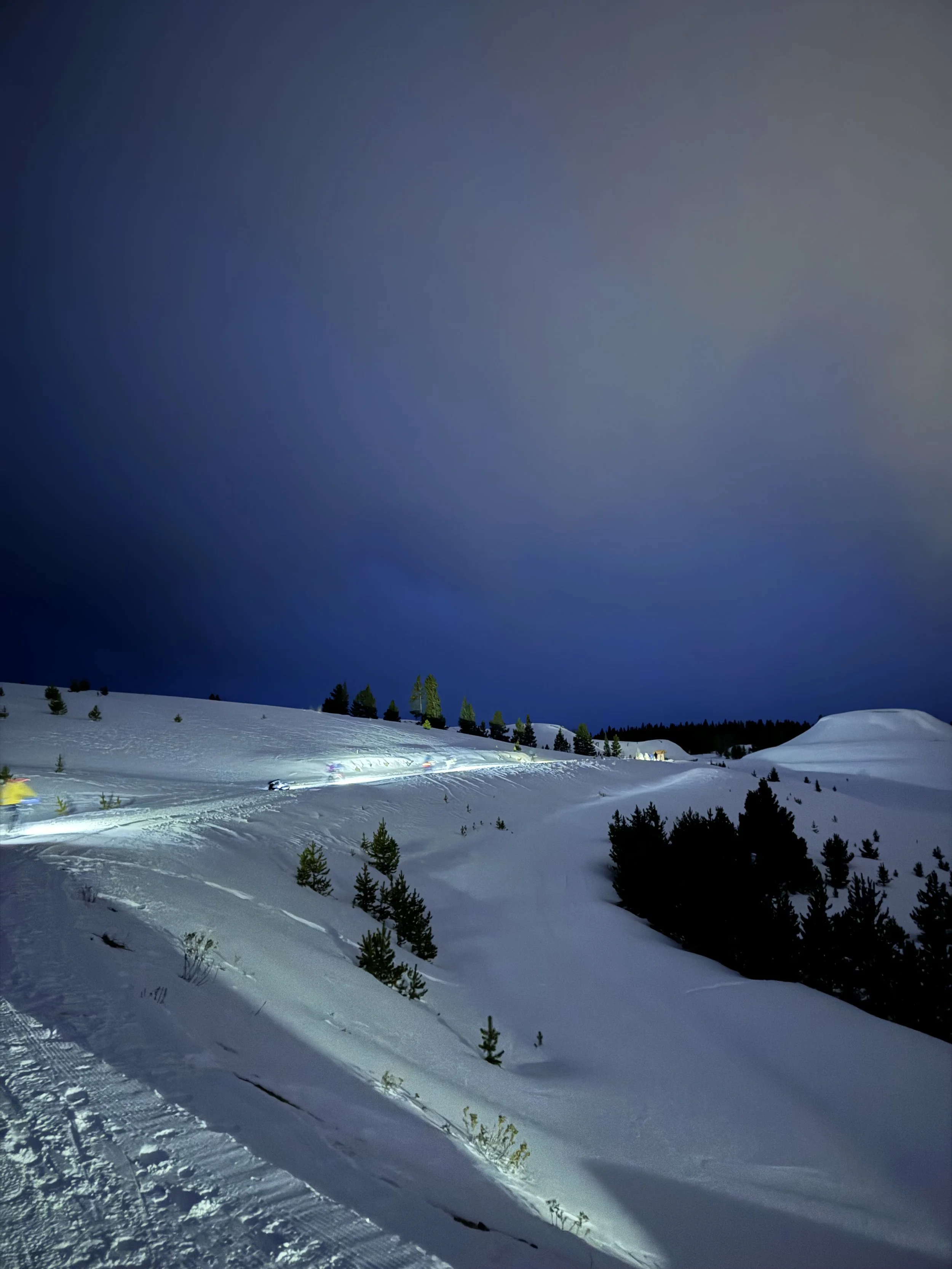 The Mineral Belt & Timberline Trails