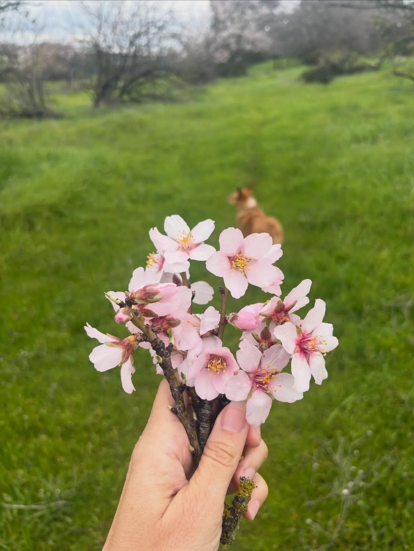 Spring is right around the corner 💚