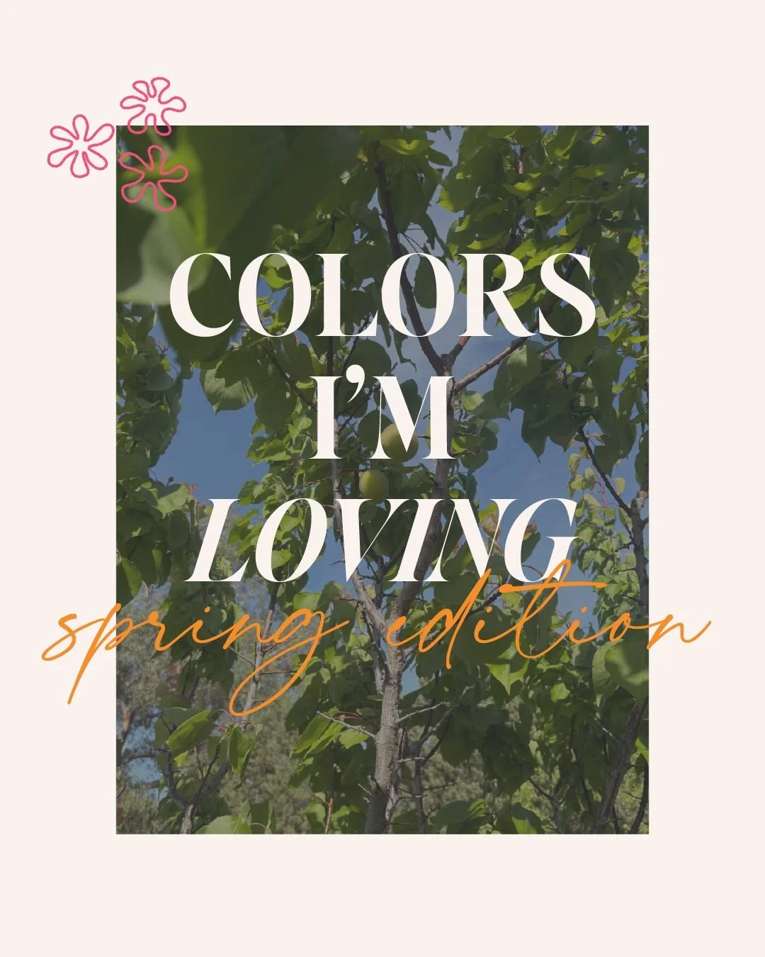 Spring is in full swing! I&rsquo;ve said it before and I&rsquo;ll say it again, Yolo County is best in Spring, and here is some beautiful proof.
🥰🩷💚🧡🌸🌱

#branddesigner #graphicdesigner #logodesigner
#colorpalette #springcolors