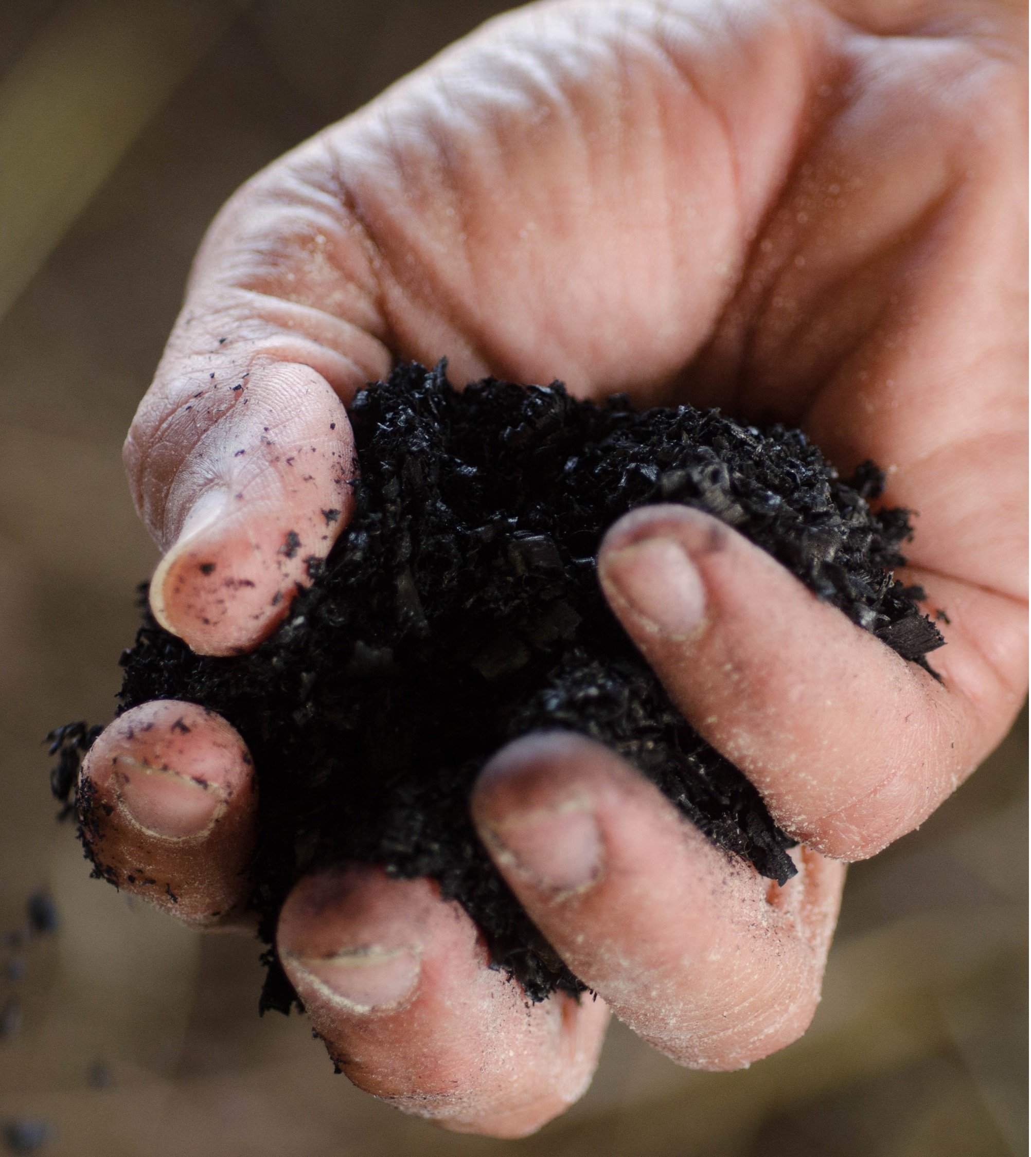 Biochar — Atlanti[CO2]