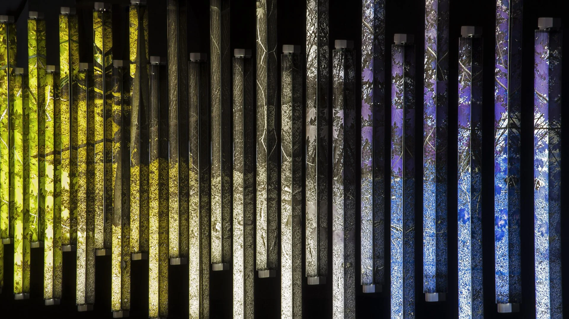 Baclawski_2014_Chromogenic_04.jpg