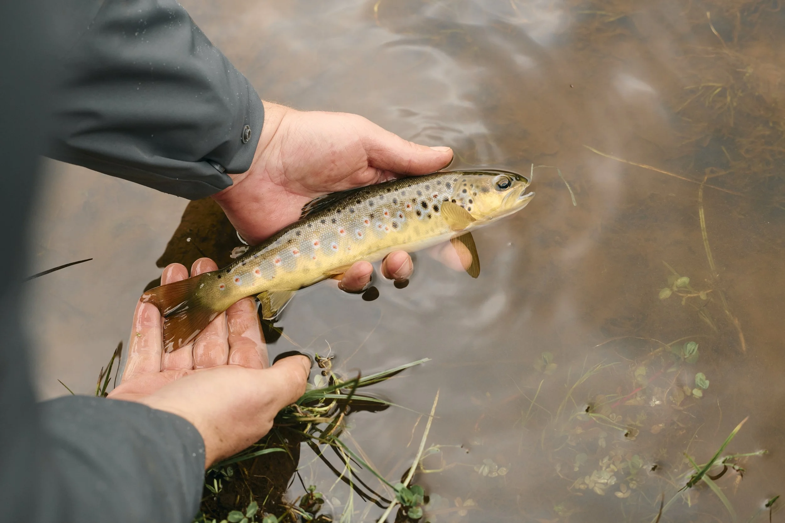 Africa_2025_Jungle_D850 475.jpg