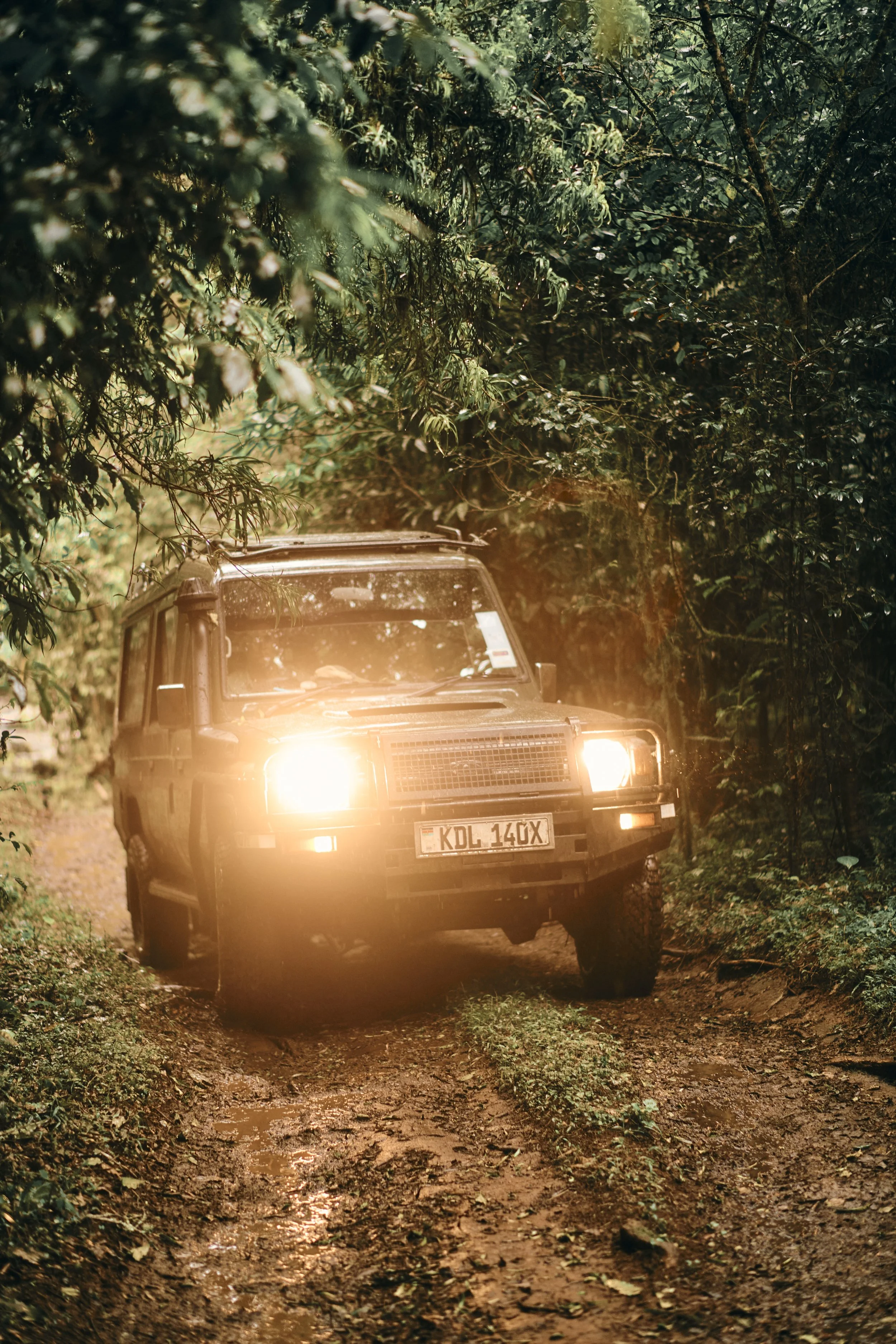 Africa_2025_Jungle_D850 1657.jpg