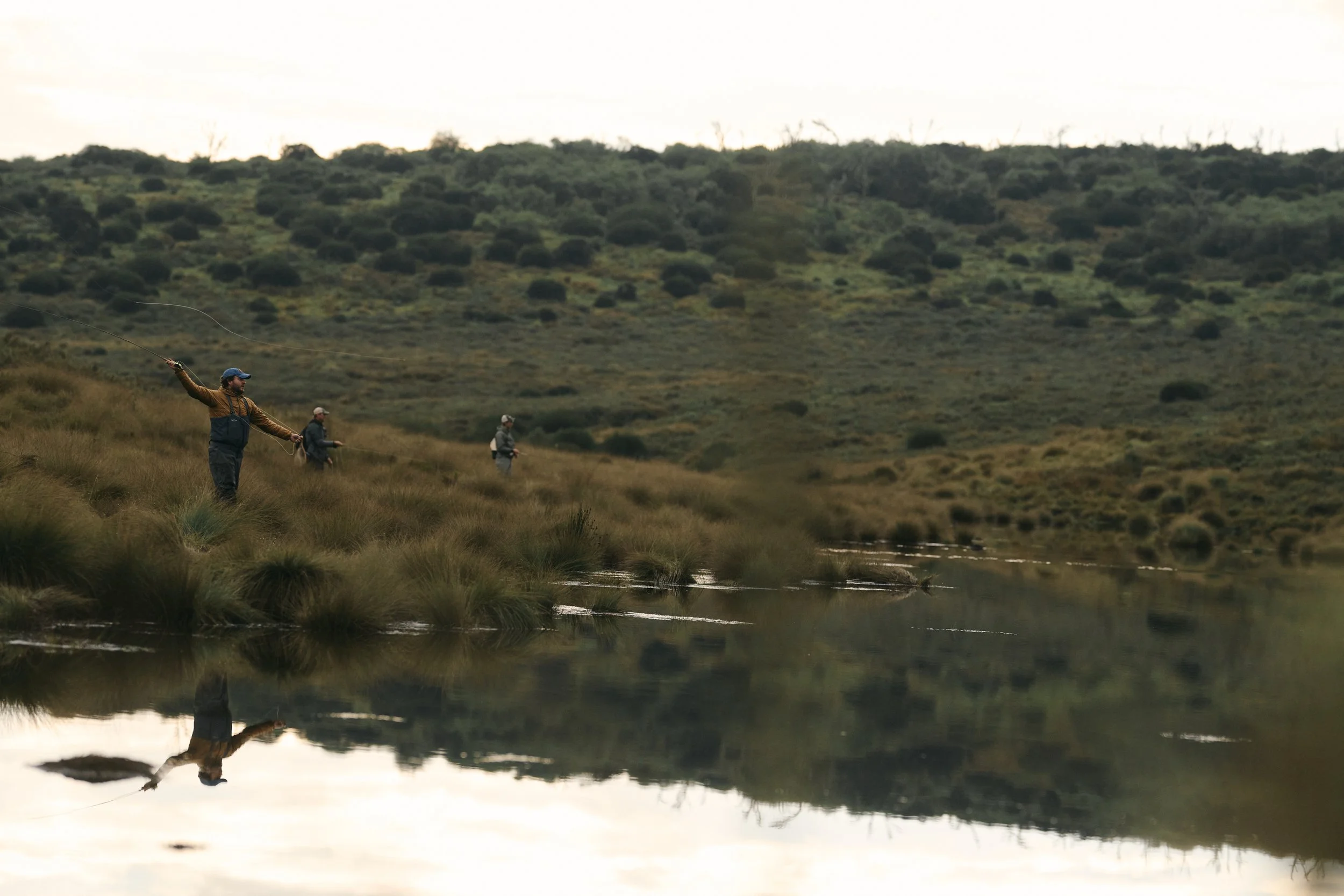 Africa_2025_Jungle_Z8_ 146.jpg