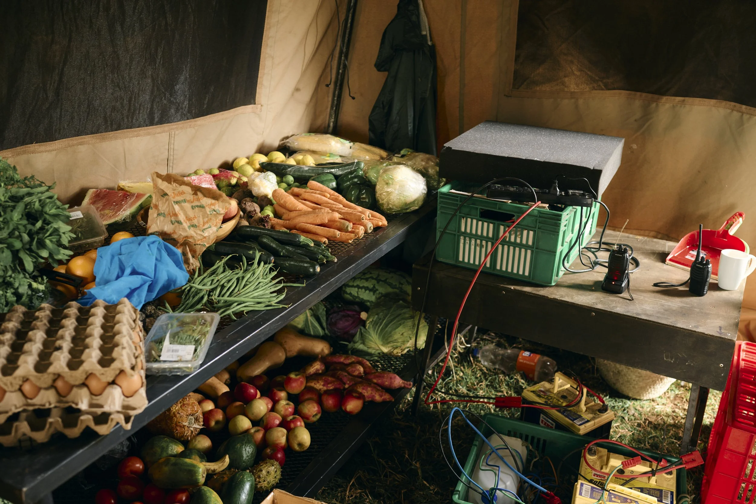 Africa_2025_Jungle_Z8_ 50.jpg