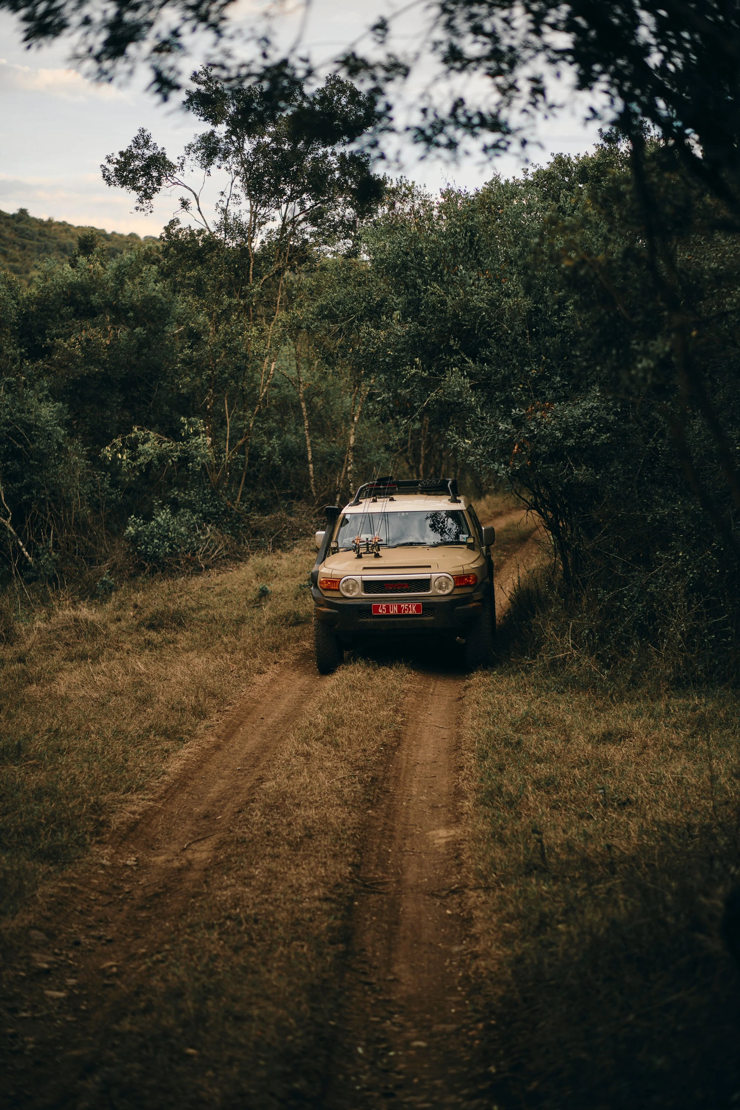 Africa_2025_Jungle_D850 1517.jpg