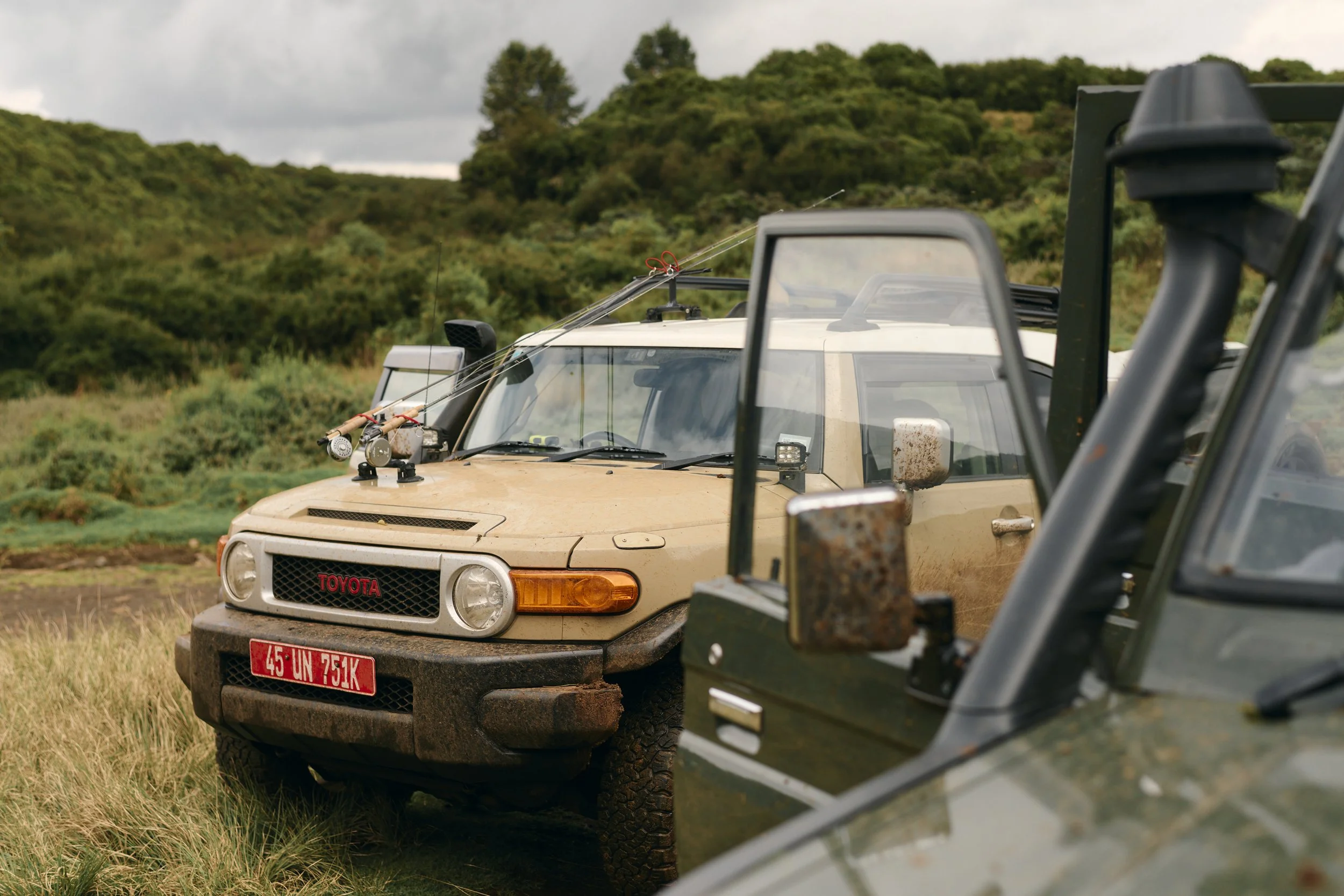 Africa_2025_Jungle_D850 297.jpg