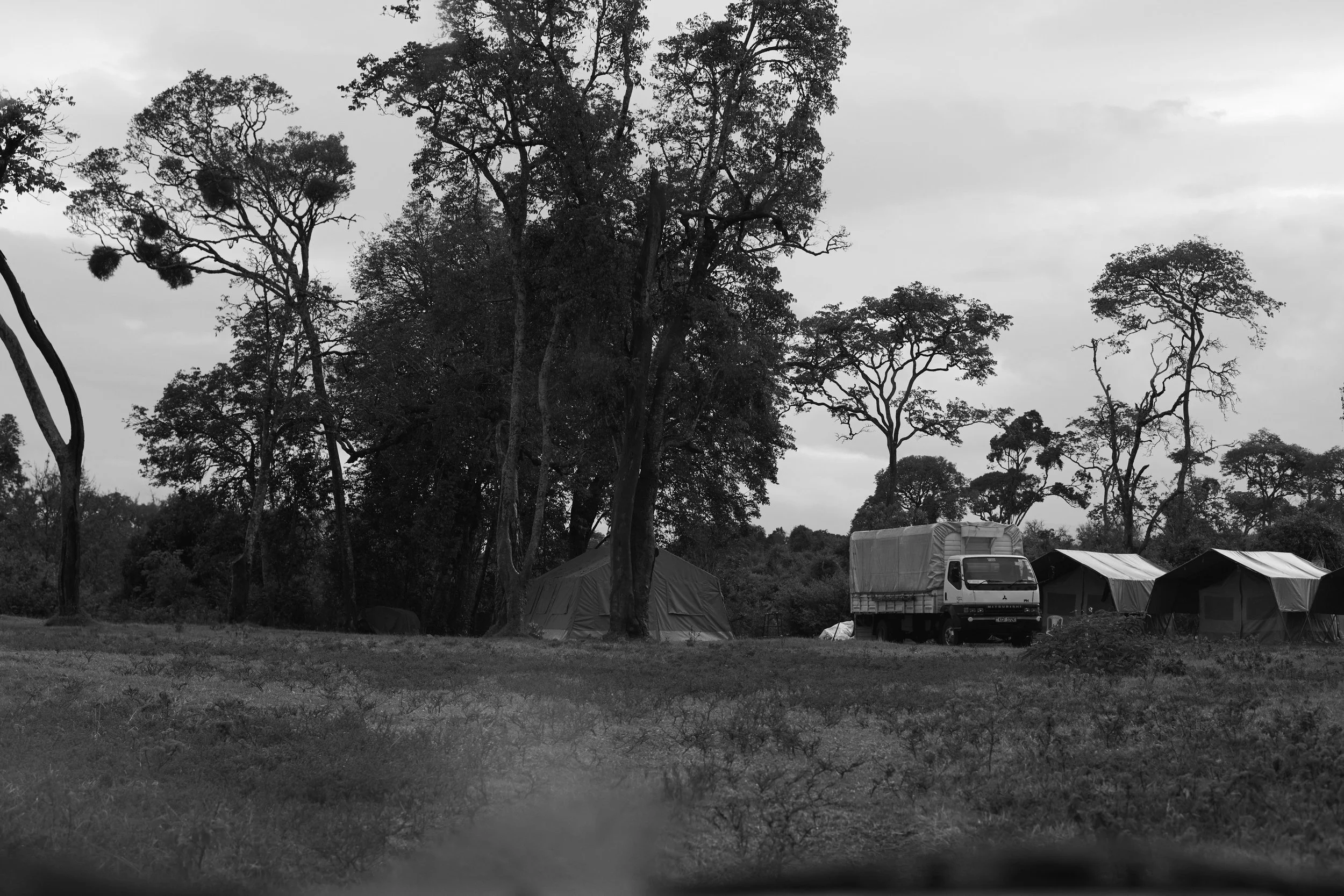 Africa_2025_Jungle_D850 28 1.jpg