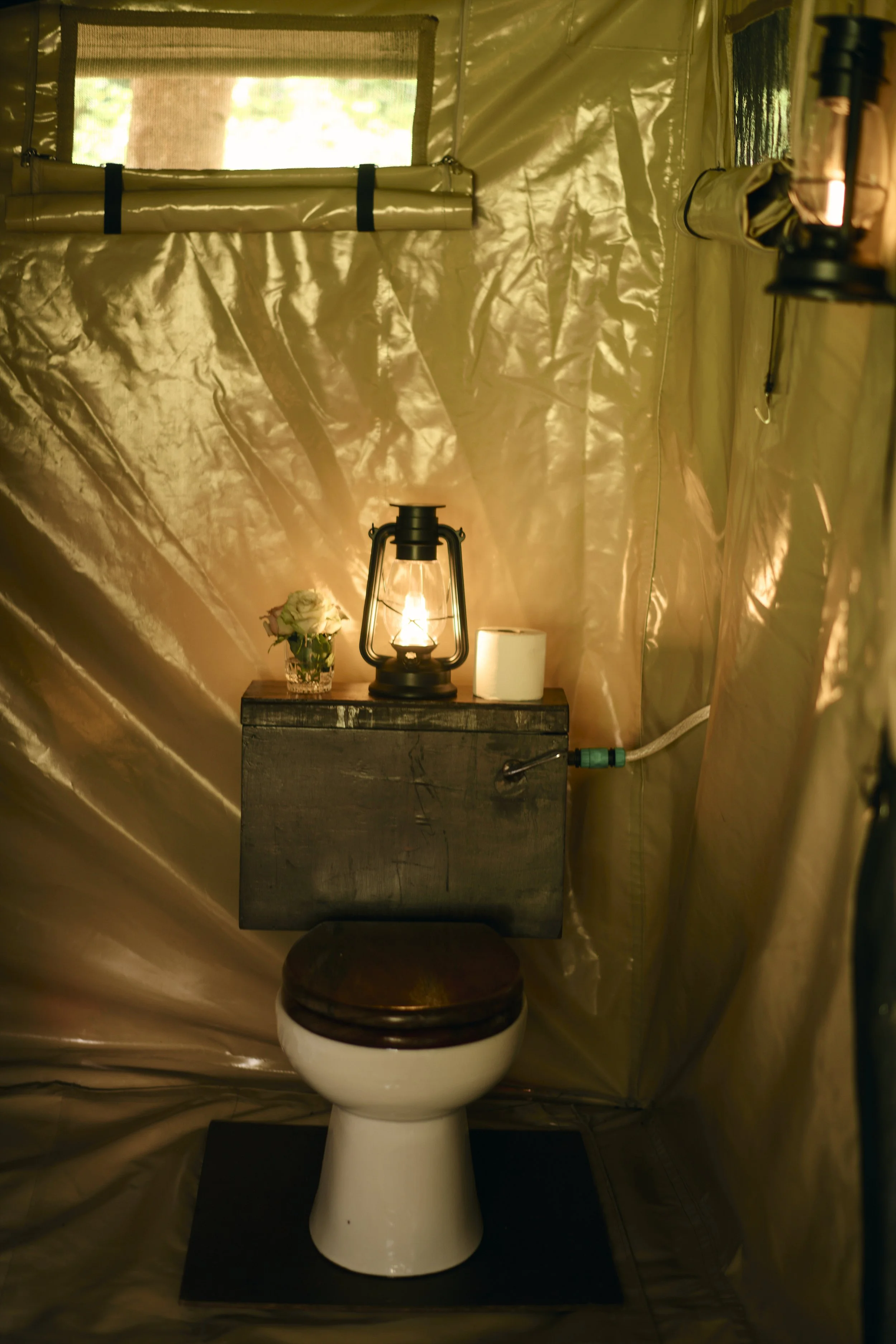 Africa_2025_Jungle_D850 850.jpg