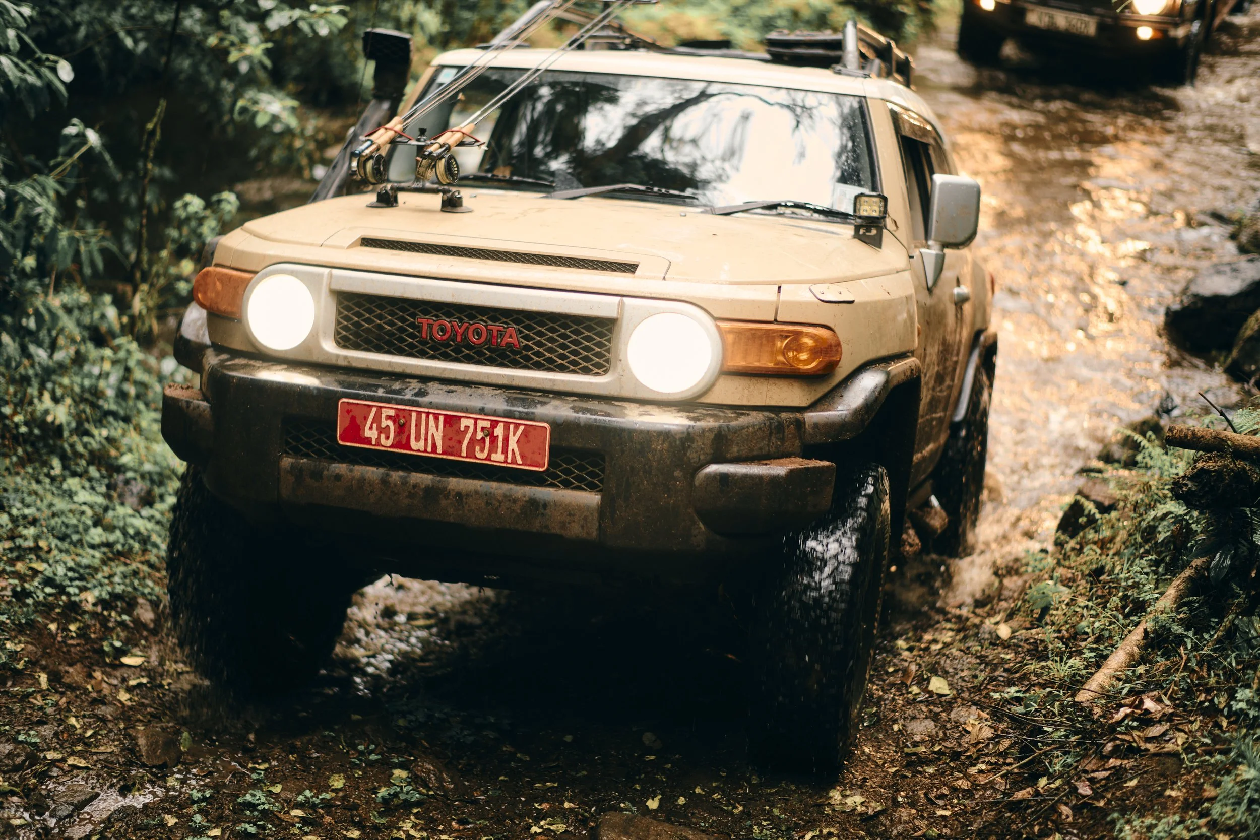 Africa_2025_Jungle_D850 1634.jpg