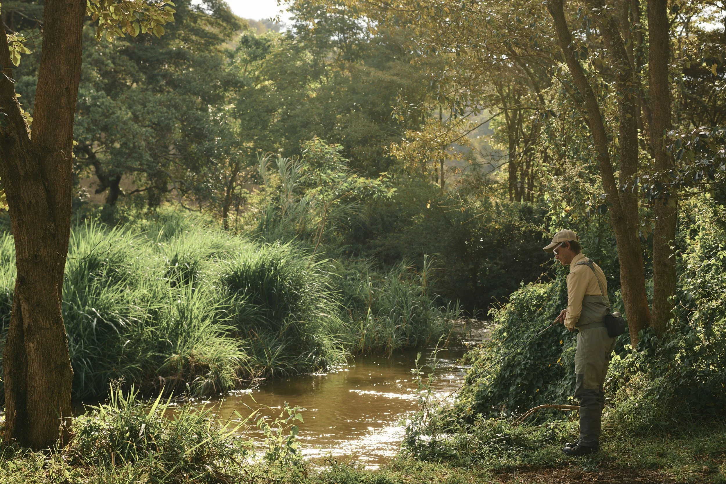 Africa_2025_Jungle_D850 1129.jpg