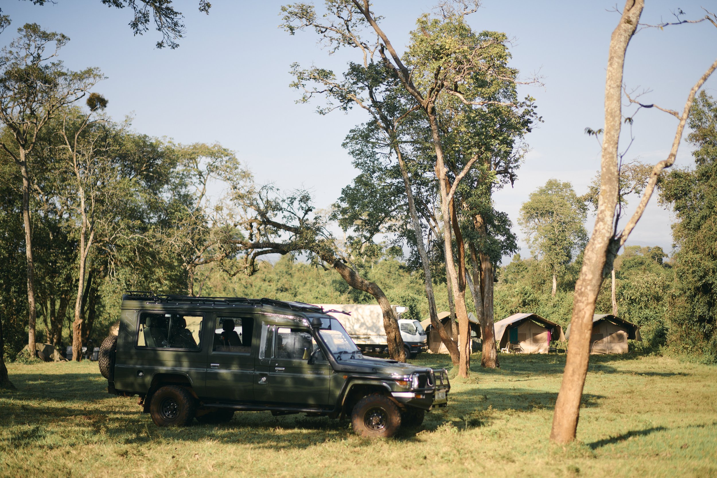 Africa_2025_Jungle_D850 710.jpg