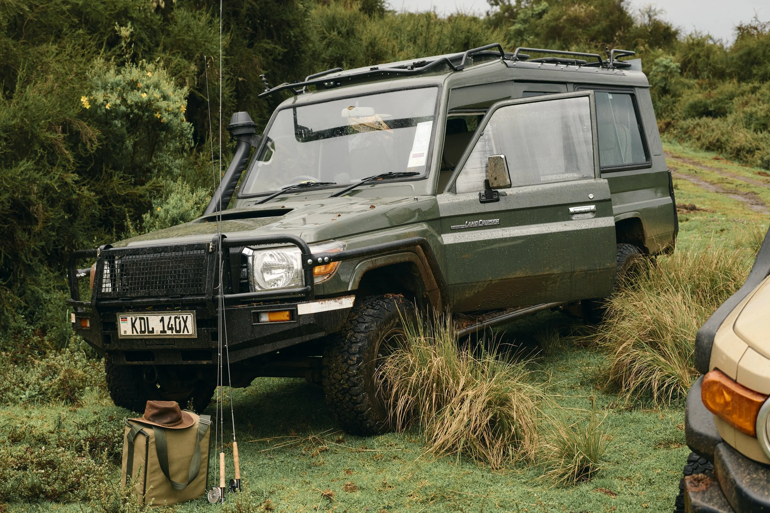 Africa_2025_Jungle_D850 582.jpg