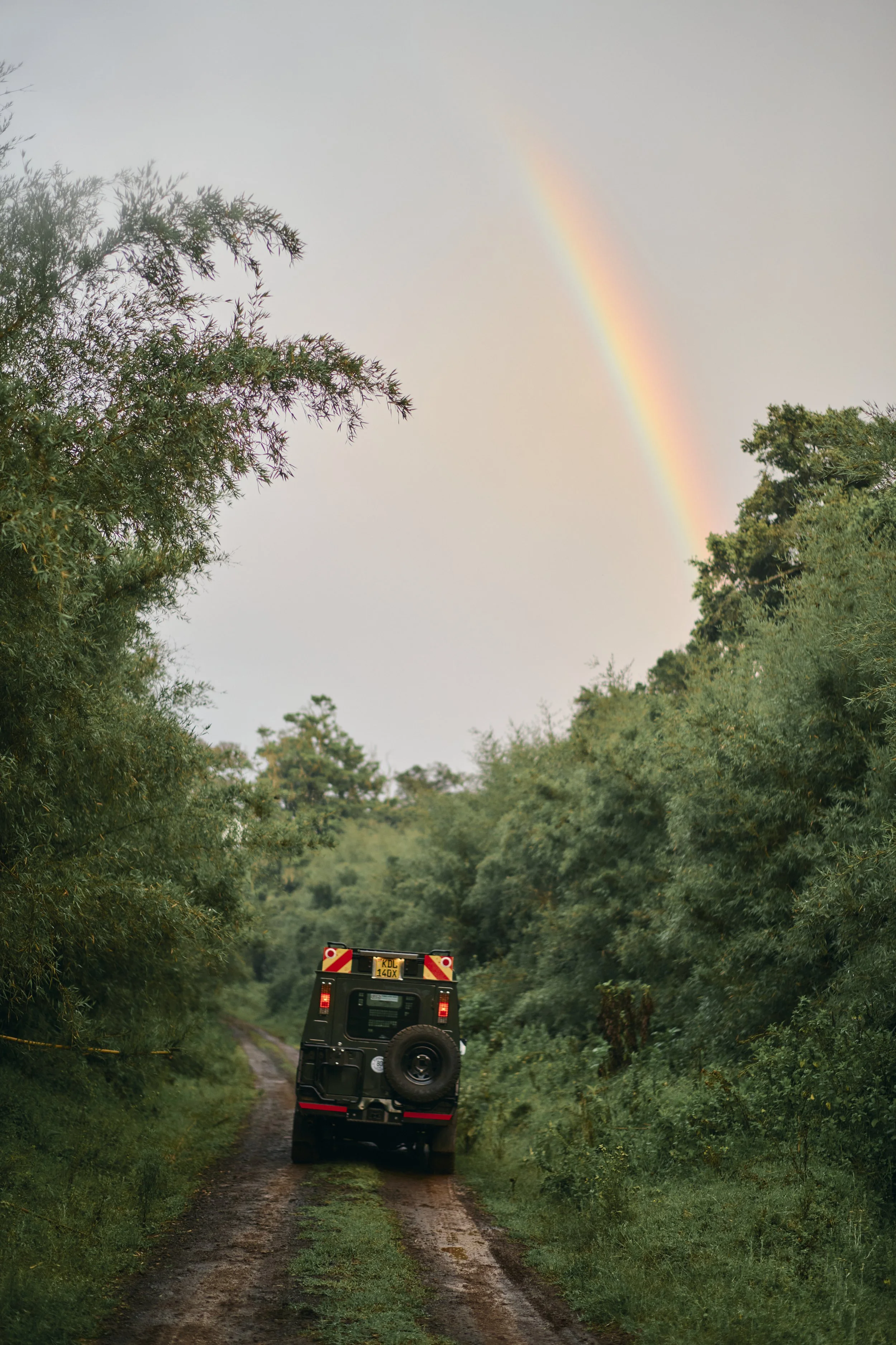 Africa_2025_Jungle_D850 968.jpg