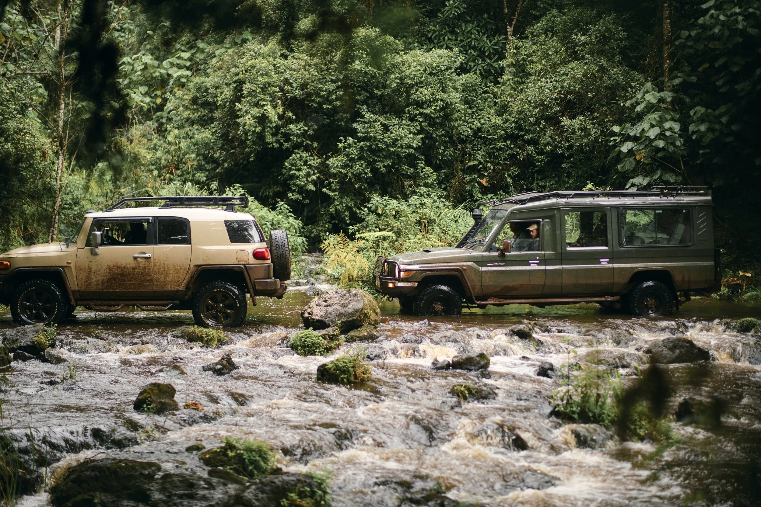 Africa_2025_Jungle_D850 1618.jpg