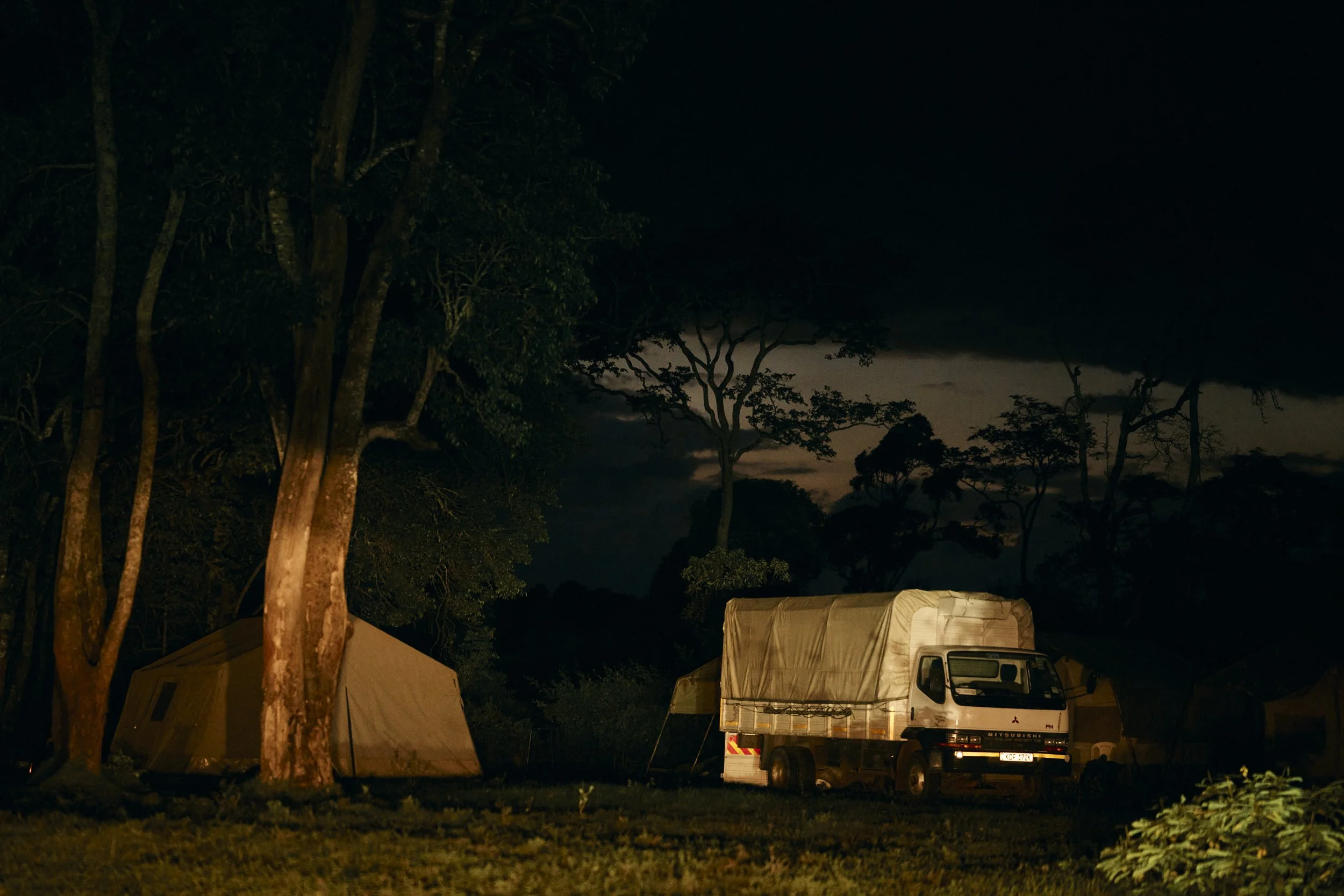 Africa_2025_Jungle_Z8_ 166.jpg