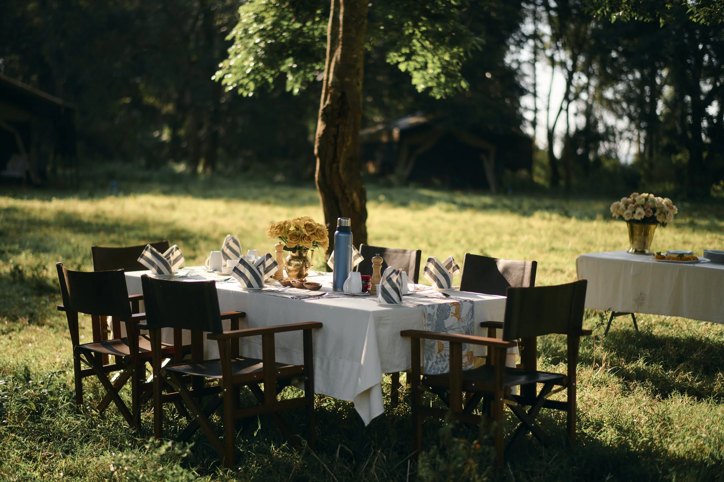 Africa_2025_Jungle_D850 707.jpg