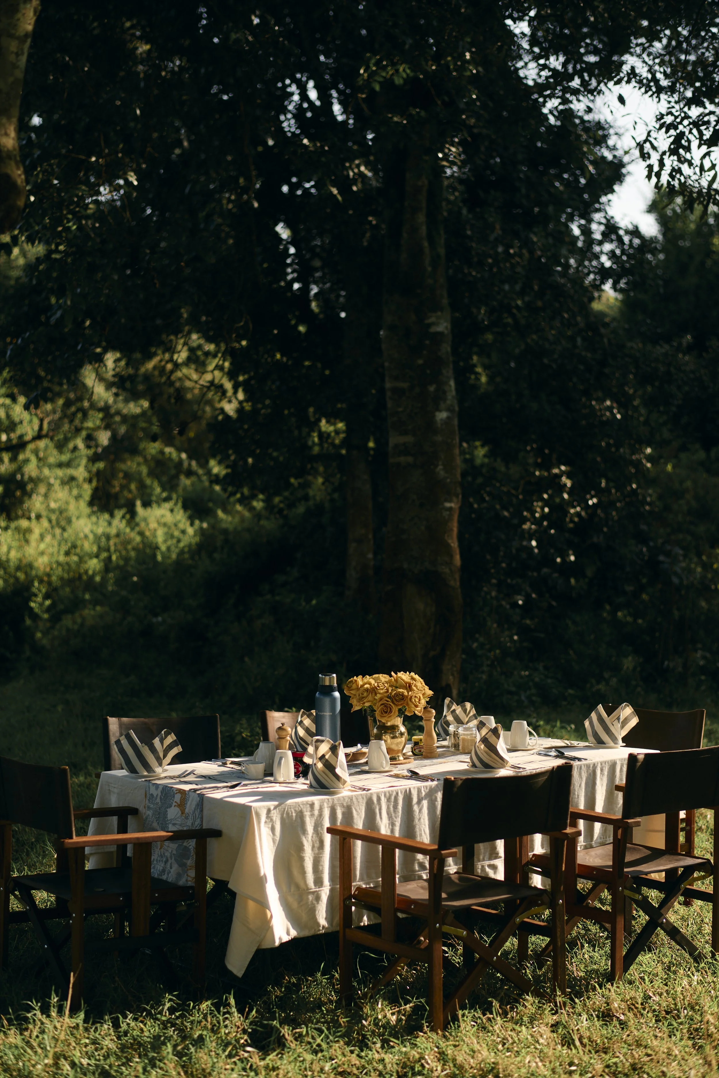 Africa_2025_Jungle_D850 695.jpg