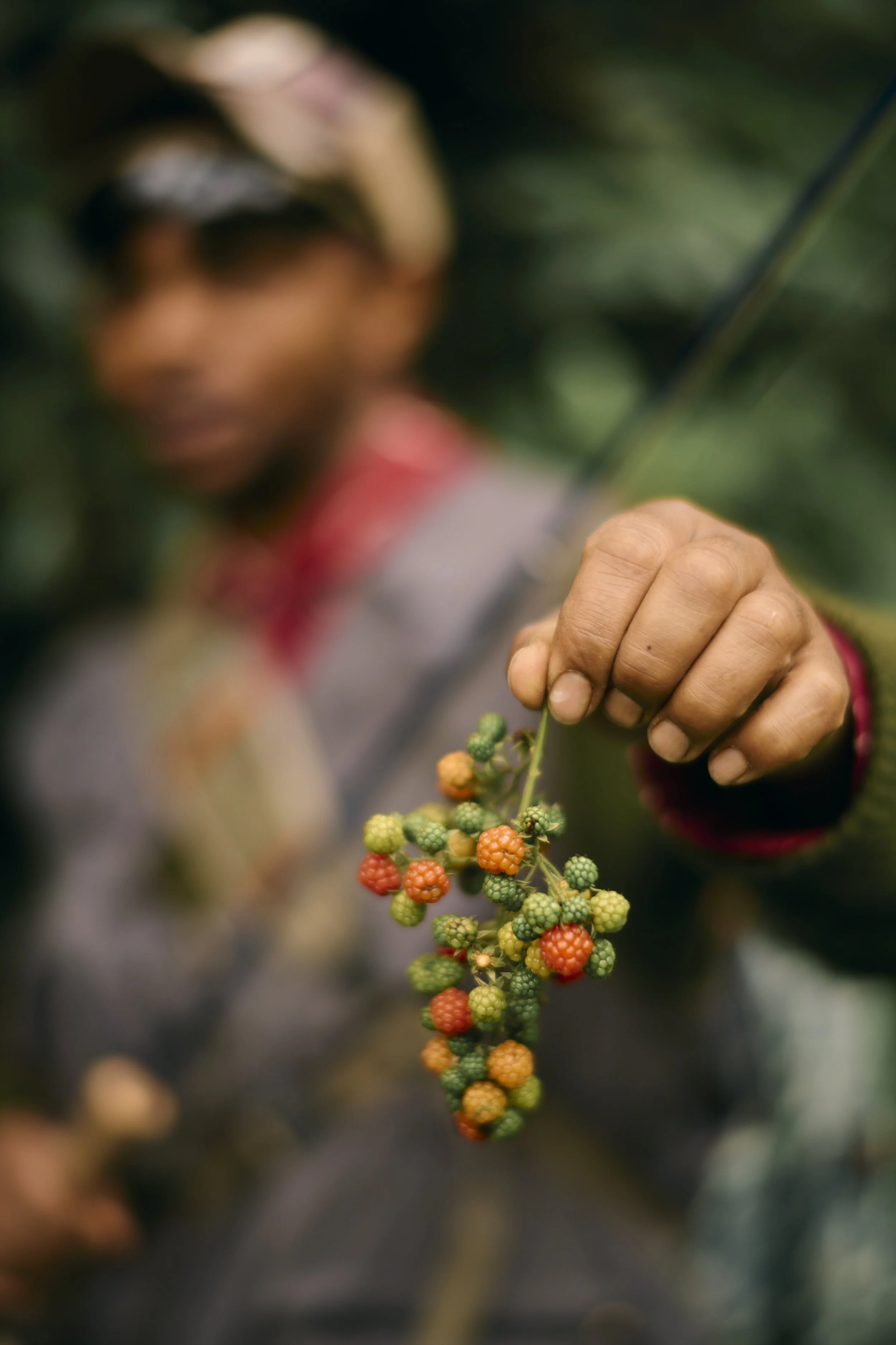 Africa_2025_Jungle_D850 1869.jpg