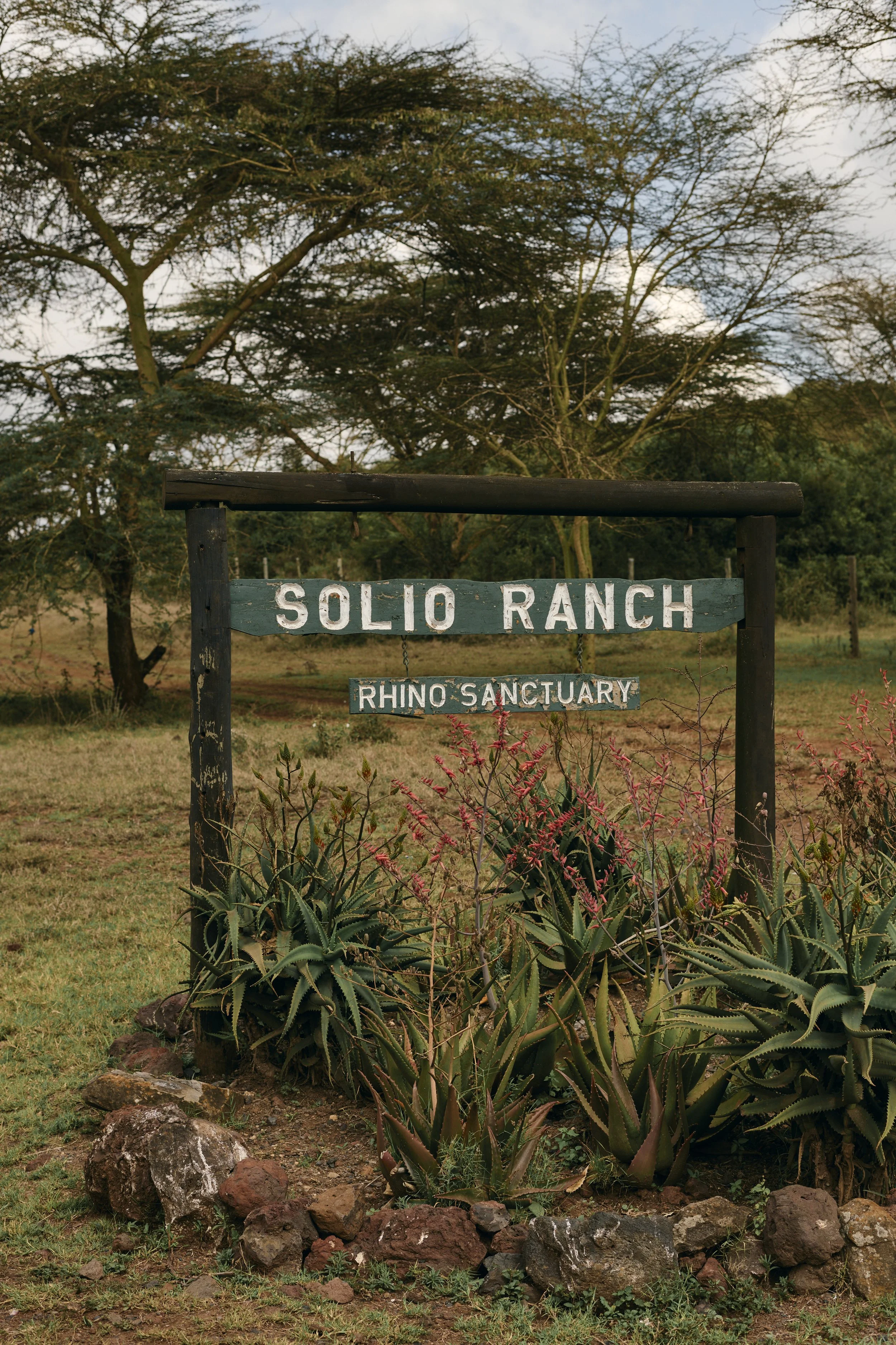 Africa_2025_Jungle_D850 1056.jpg